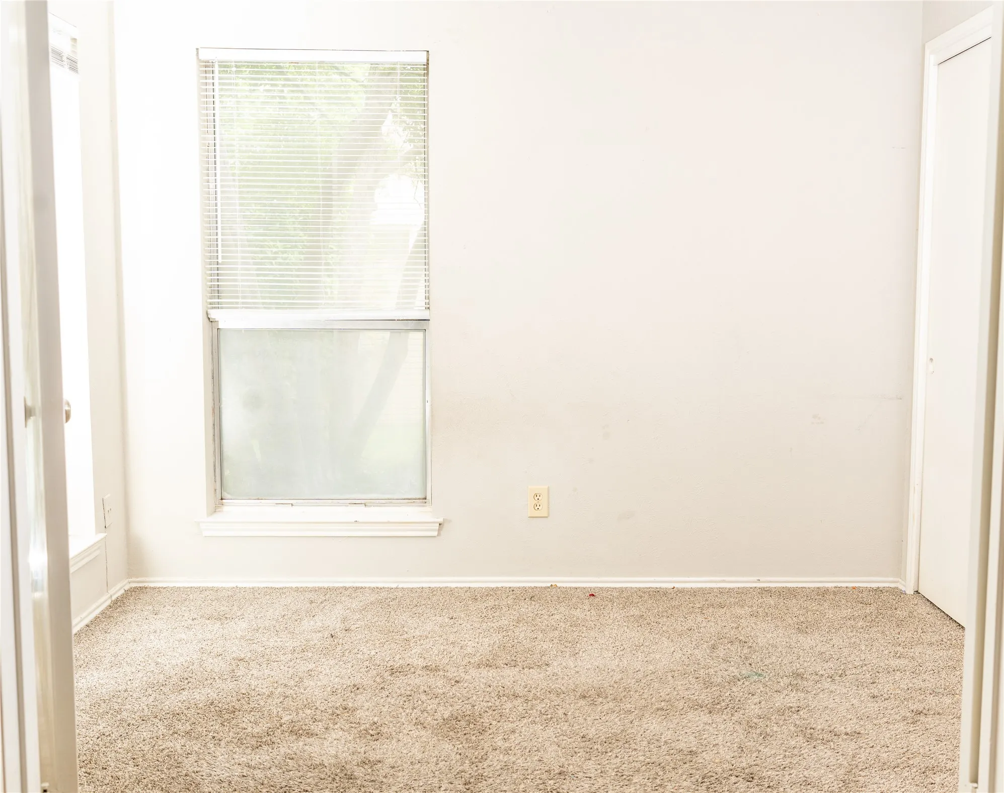Wall-to-wall carpeting with a light neutral tone