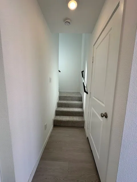 Single Family Residence For Rent in Collin County , 833 Sandhill Crane, Princeton, Texas 75407, 3 Bedroom, 3 Bathroom, 1 Garage spaces, 1,189 Sqft, built in 2025, mls#21404316, Real Estate Agent in Princeton, Homes For Rent in Collin county, Homes For Rent in Princeton, Realtor in Princeton Texas, Real Estate Brokerage Independent Realty Texas, Luminita Cordes Realtor