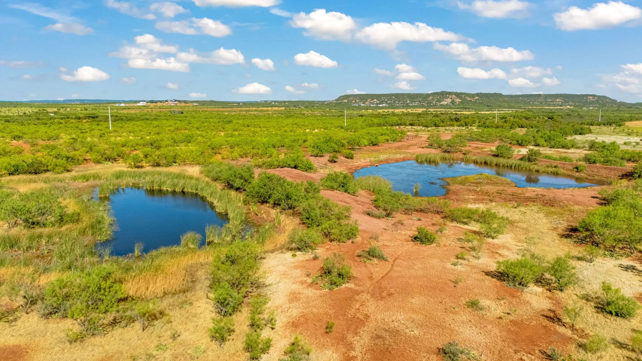 Unimproved Land For Sale in Taylor County , TBD CR 154, Tuscola, Texas 79562, 0, 0, Garage spaces, 0 Sqft, built in 0, mls#21398670, Real Estate Agent in Tuscola, Homes For Sale in Taylor county, Homes For Sale in Tuscola, Realtor in Tuscola Texas, Real Estate Brokerage Independent Realty Texas, Luminita Cordes Realtor