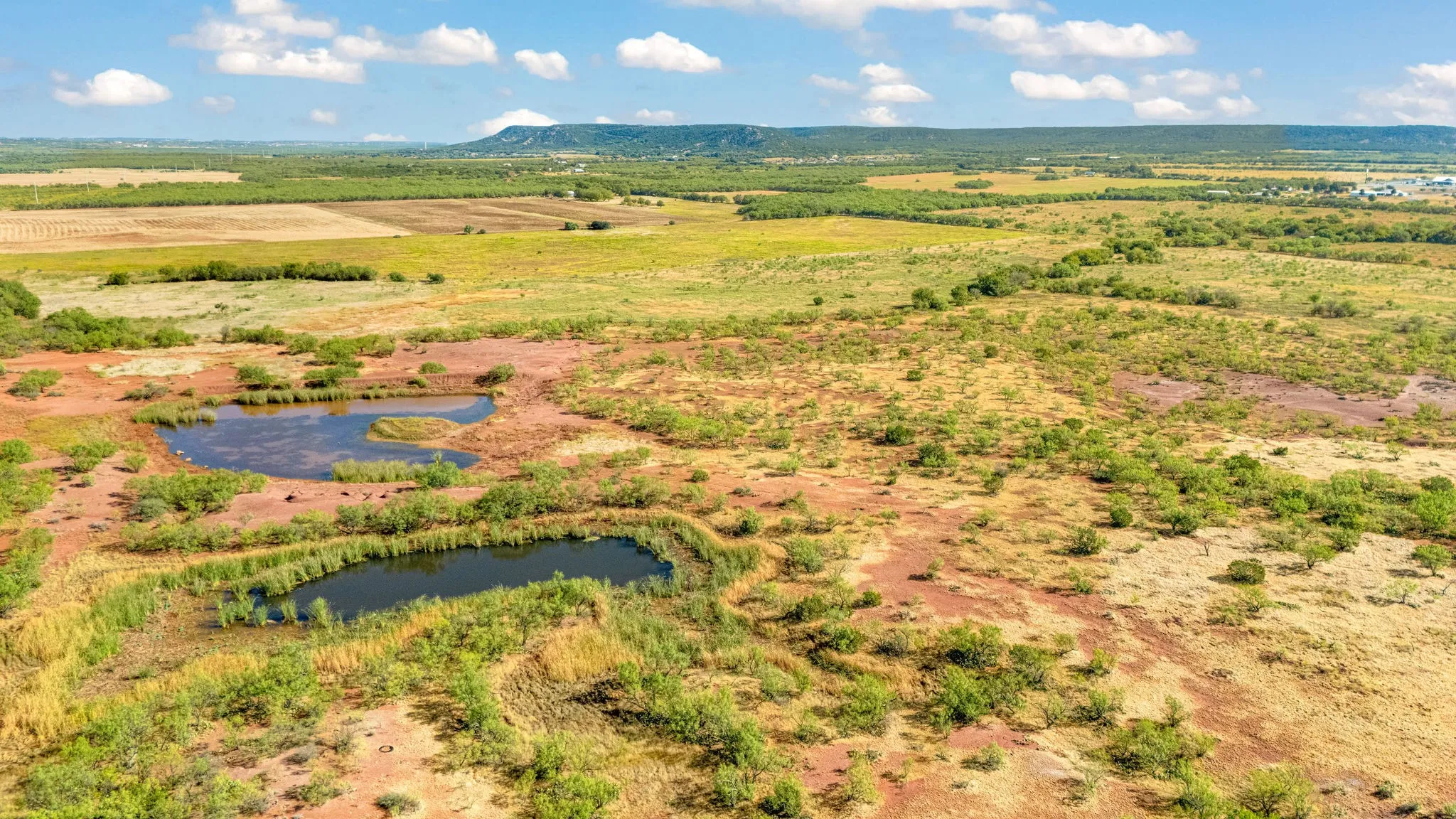 Unimproved Land For Sale in Taylor County , TBD CR 154, Tuscola, Texas 79562, 0, 0, Garage spaces, 0 Sqft, built in 0, mls#21398670, Real Estate Agent in Tuscola, Homes For Sale in Taylor county, Homes For Sale in Tuscola, Realtor in Tuscola Texas, Real Estate Brokerage Independent Realty Texas, Luminita Cordes Realtor