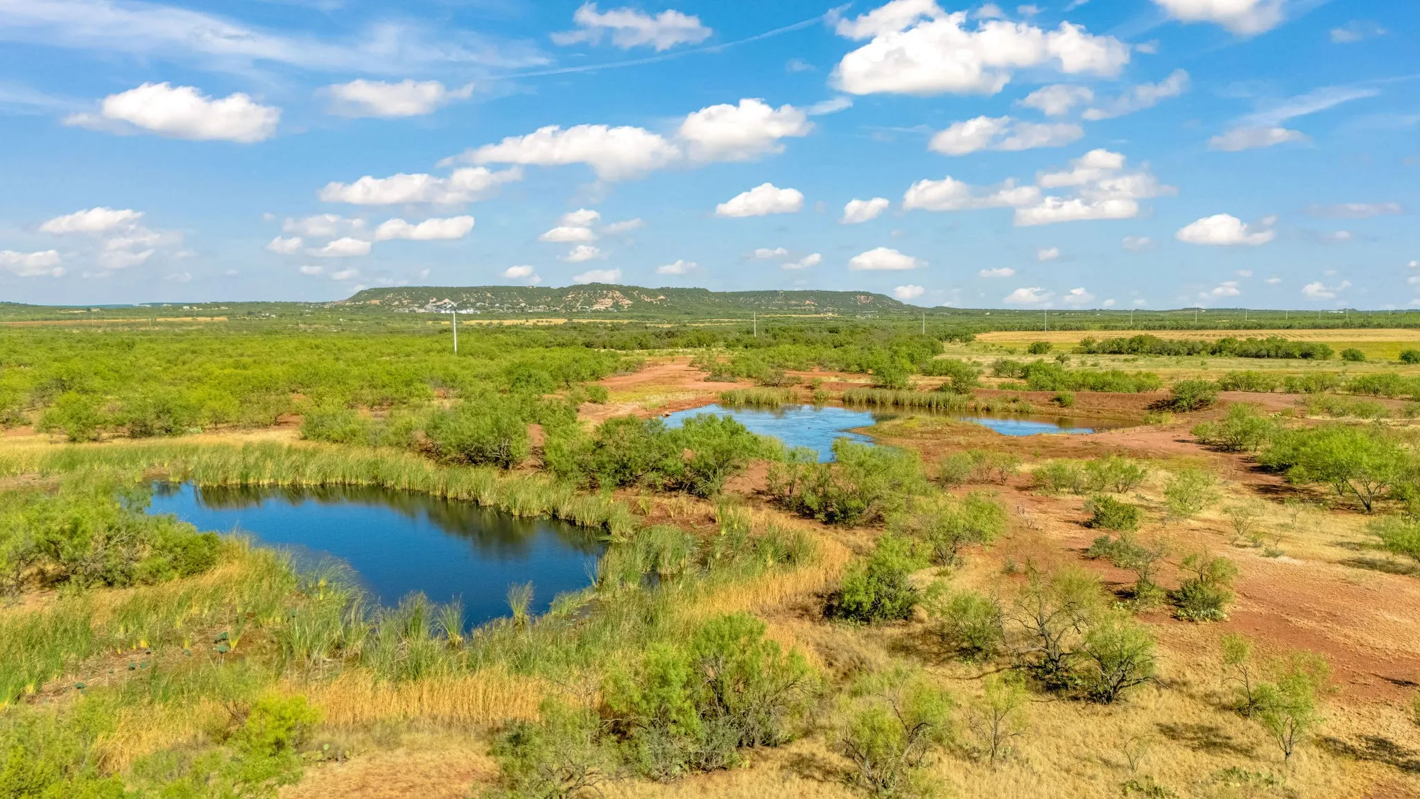 Unimproved Land For Sale in Taylor County , TBD CR 154, Tuscola, Texas 79562, 0, 0, Garage spaces, 0 Sqft, built in 0, mls#21398670, Real Estate Agent in Tuscola, Homes For Sale in Taylor county, Homes For Sale in Tuscola, Realtor in Tuscola Texas, Real Estate Brokerage Independent Realty Texas, Luminita Cordes Realtor