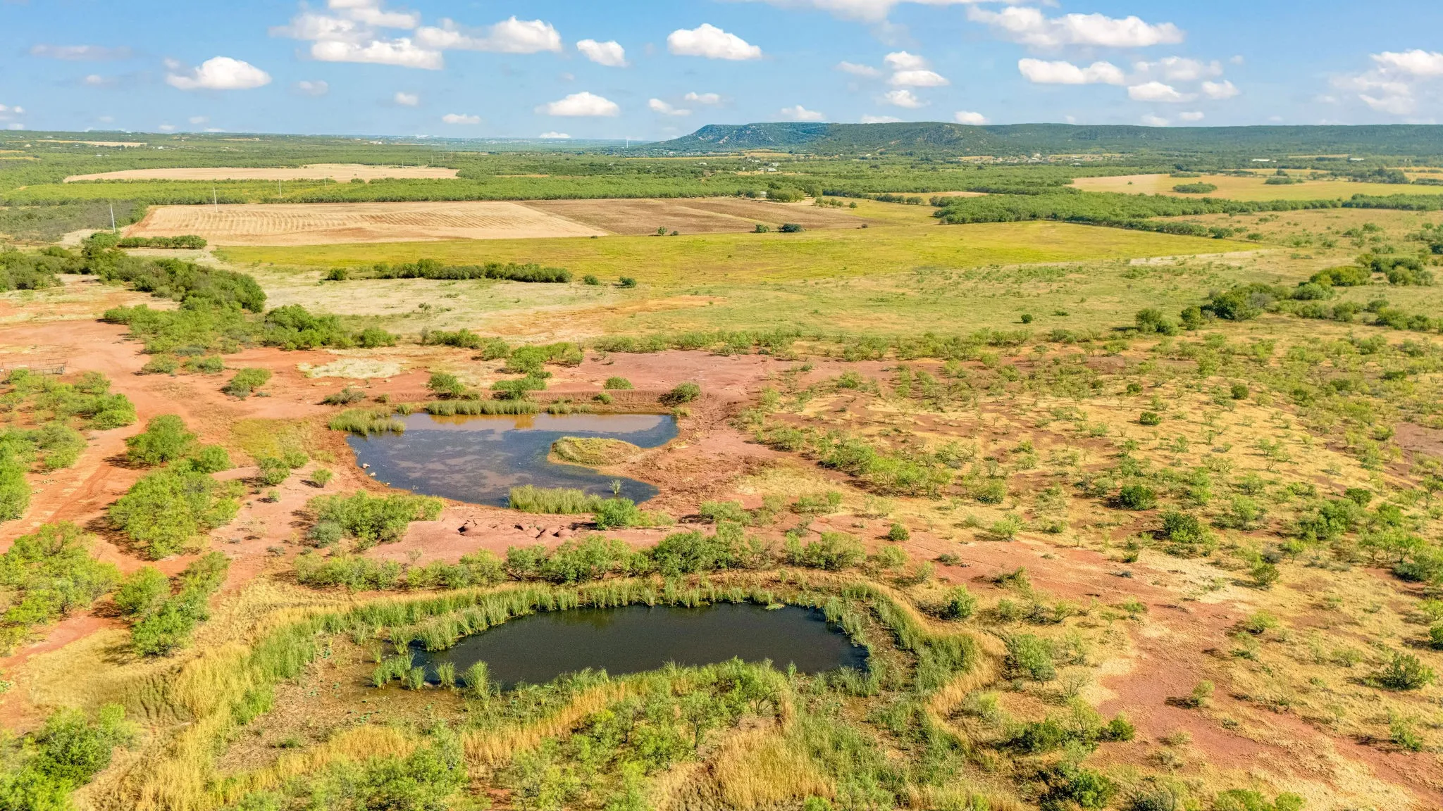 Unimproved Land For Sale in Taylor County , TBD CR 154, Tuscola, Texas 79562, 0, 0, Garage spaces, 0 Sqft, built in 0, mls#21398670, Real Estate Agent in Tuscola, Homes For Sale in Taylor county, Homes For Sale in Tuscola, Realtor in Tuscola Texas, Real Estate Brokerage Independent Realty Texas, Luminita Cordes Realtor