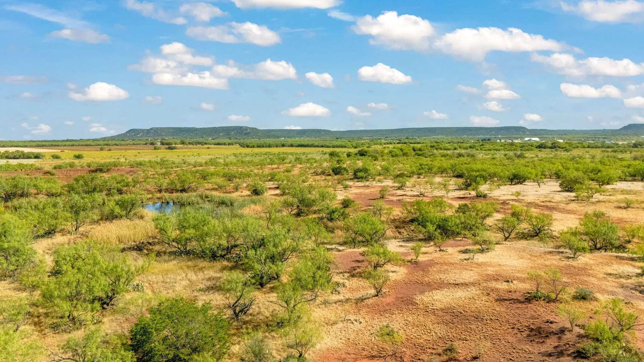 Unimproved Land For Sale in Taylor County , TBD CR 154, Tuscola, Texas 79562, 0, 0, Garage spaces, 0 Sqft, built in 0, mls#21398670, Real Estate Agent in Tuscola, Homes For Sale in Taylor county, Homes For Sale in Tuscola, Realtor in Tuscola Texas, Real Estate Brokerage Independent Realty Texas, Luminita Cordes Realtor