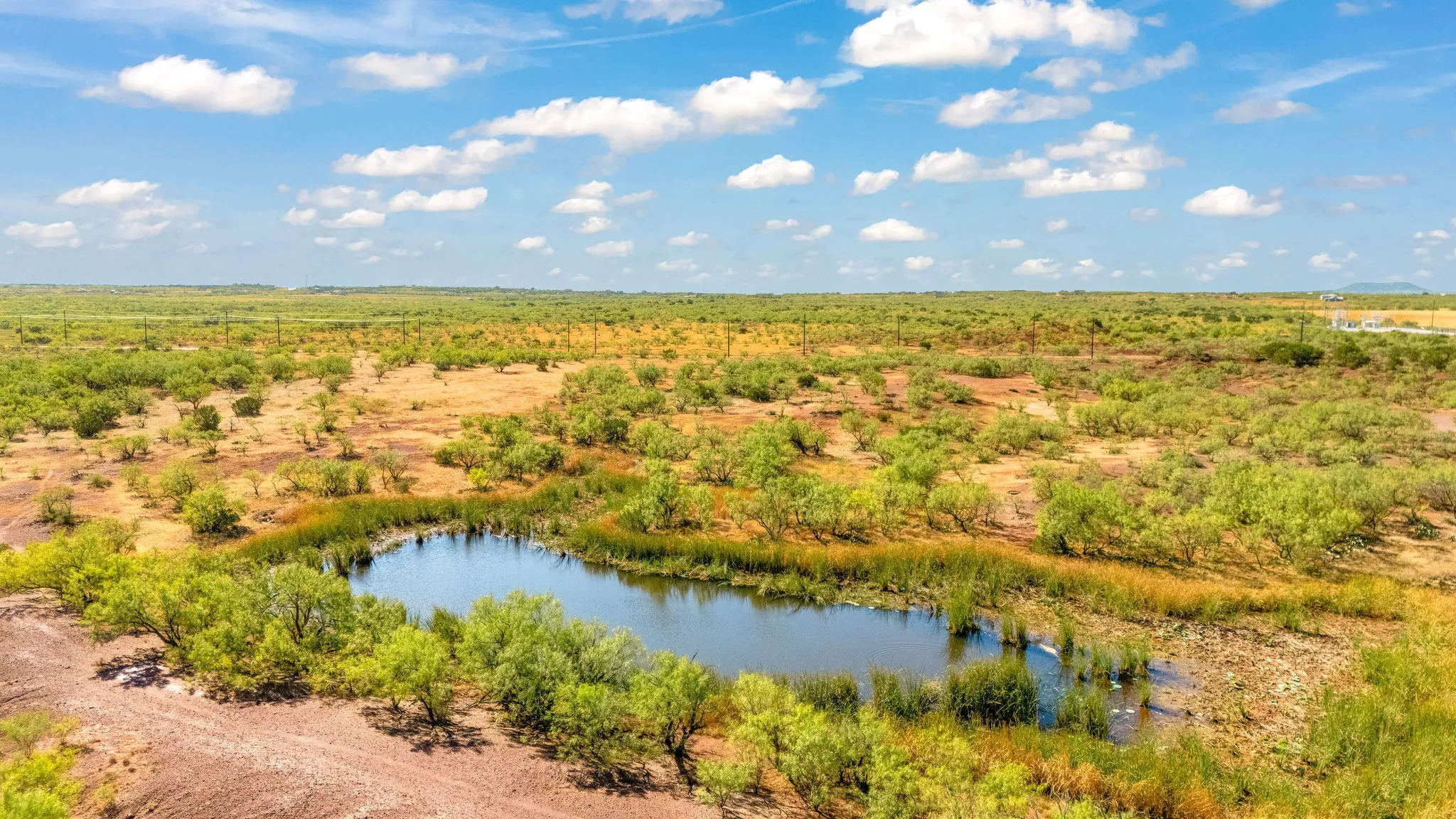 Unimproved Land For Sale in Taylor County , TBD CR 154, Tuscola, Texas 79562, 0, 0, Garage spaces, 0 Sqft, built in 0, mls#21398670, Real Estate Agent in Tuscola, Homes For Sale in Taylor county, Homes For Sale in Tuscola, Realtor in Tuscola Texas, Real Estate Brokerage Independent Realty Texas, Luminita Cordes Realtor