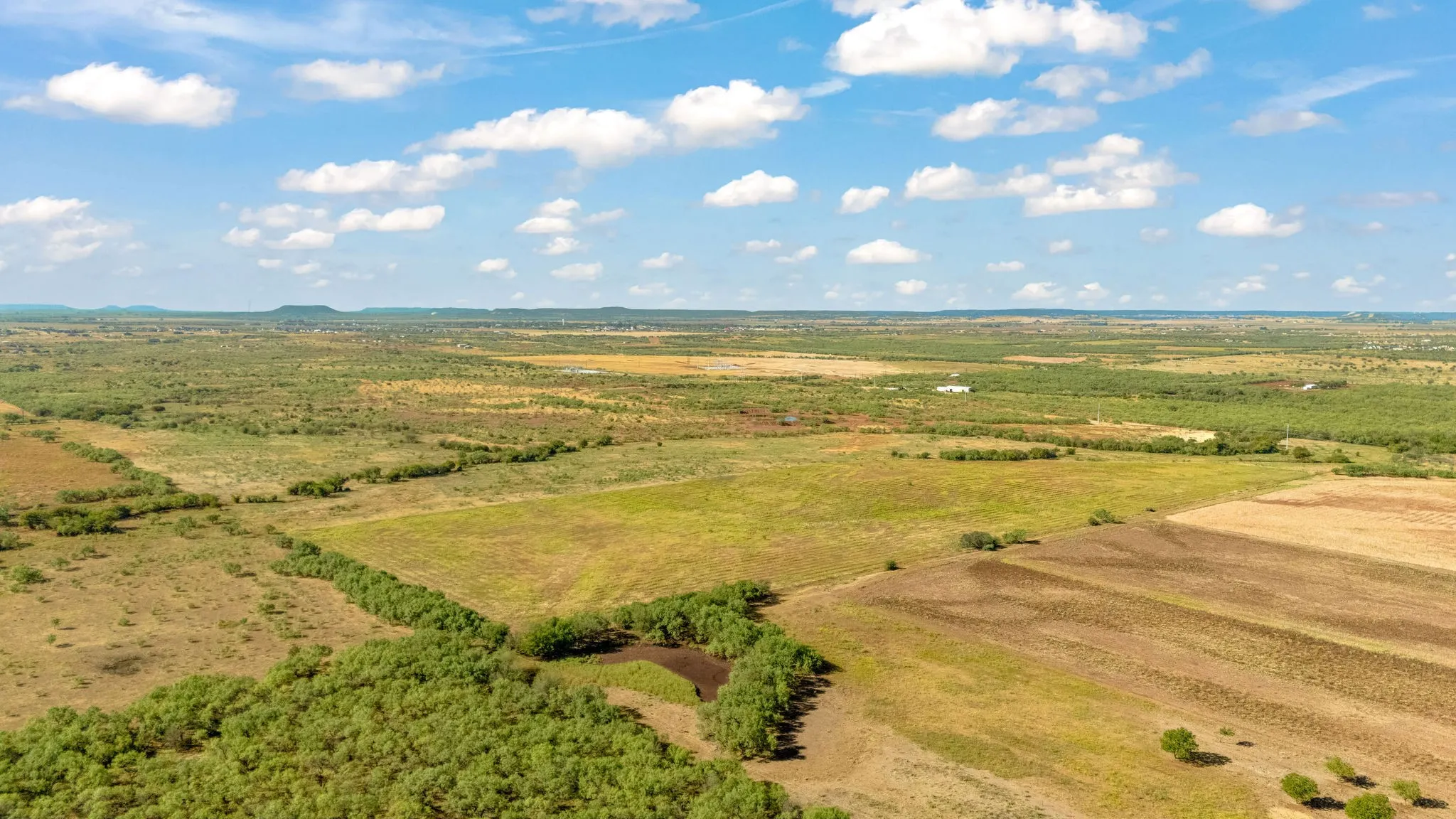 Unimproved Land For Sale in Taylor County , TBD CR 154, Tuscola, Texas 79562, 0, 0, Garage spaces, 0 Sqft, built in 0, mls#21398670, Real Estate Agent in Tuscola, Homes For Sale in Taylor county, Homes For Sale in Tuscola, Realtor in Tuscola Texas, Real Estate Brokerage Independent Realty Texas, Luminita Cordes Realtor