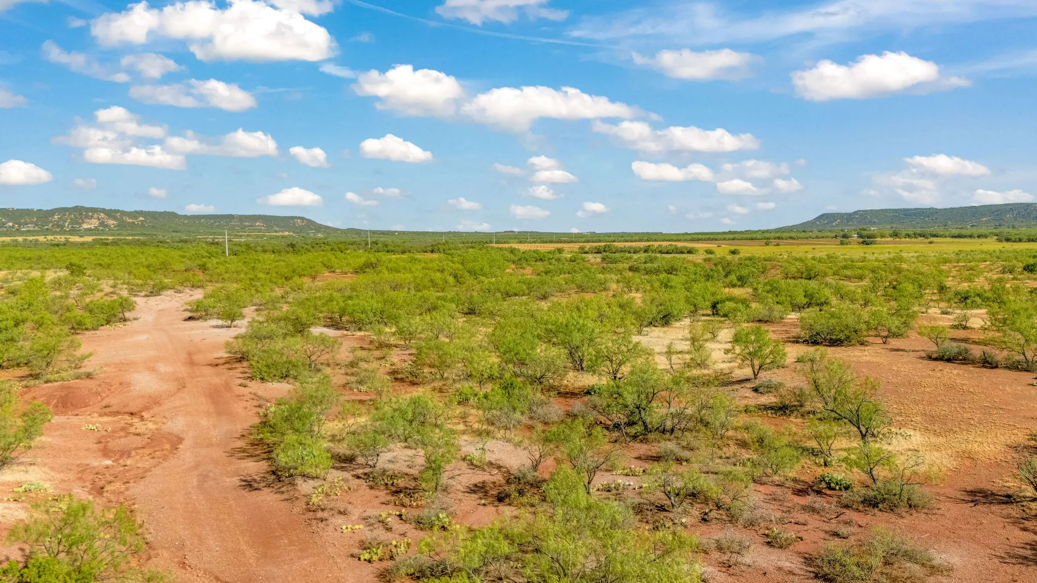 Unimproved Land For Sale in Taylor County , TBD CR 154, Tuscola, Texas 79562, 0, 0, Garage spaces, 0 Sqft, built in 0, mls#21398670, Real Estate Agent in Tuscola, Homes For Sale in Taylor county, Homes For Sale in Tuscola, Realtor in Tuscola Texas, Real Estate Brokerage Independent Realty Texas, Luminita Cordes Realtor