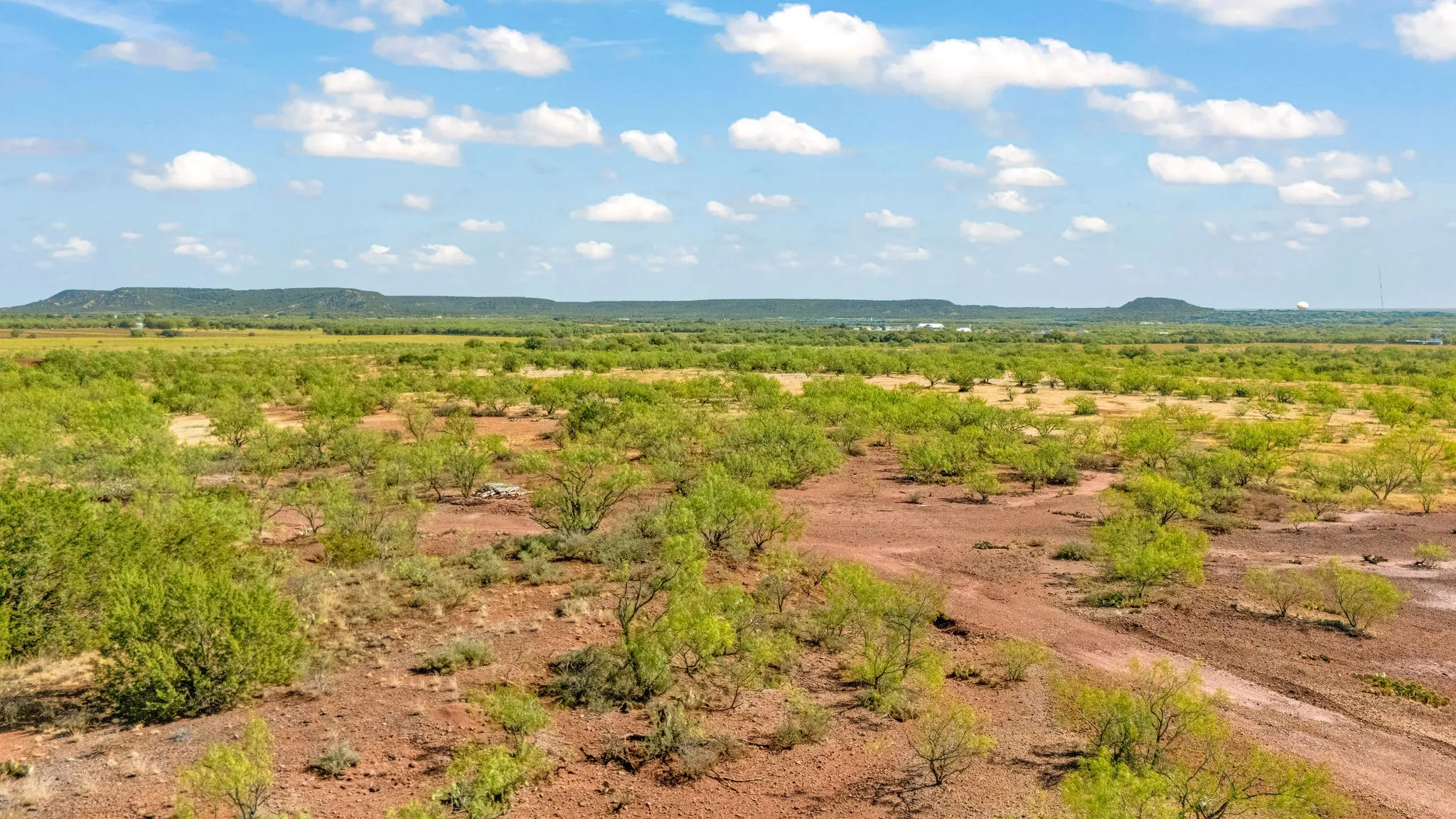 Unimproved Land For Sale in Taylor County , TBD CR 154, Tuscola, Texas 79562, 0, 0, Garage spaces, 0 Sqft, built in 0, mls#21398670, Real Estate Agent in Tuscola, Homes For Sale in Taylor county, Homes For Sale in Tuscola, Realtor in Tuscola Texas, Real Estate Brokerage Independent Realty Texas, Luminita Cordes Realtor
