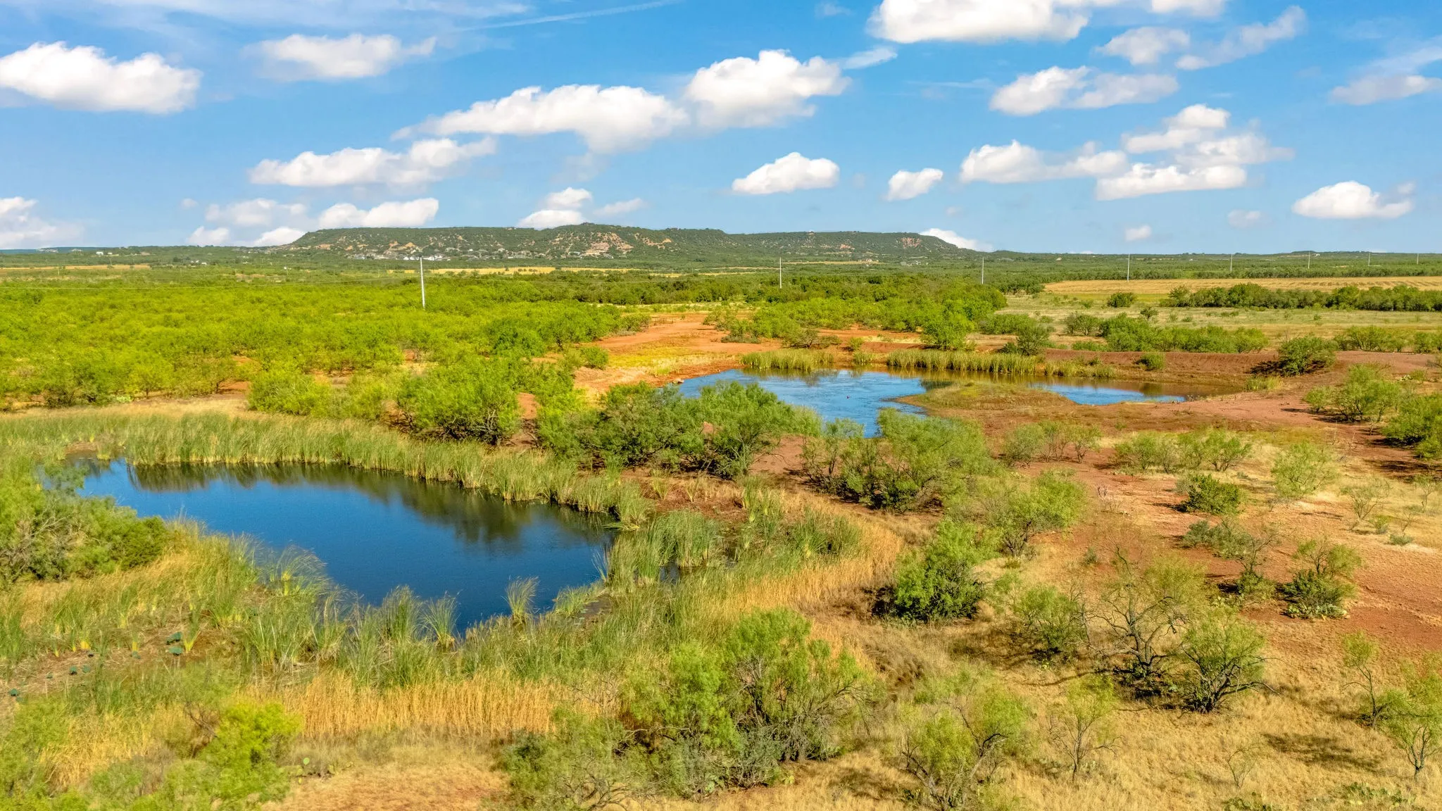 Unimproved Land For Sale in Taylor County , TBD CR 154, Tuscola, Texas 79562, 0, 0, Garage spaces, 0 Sqft, built in 0, mls#21398670, Real Estate Agent in Tuscola, Homes For Sale in Taylor county, Homes For Sale in Tuscola, Realtor in Tuscola Texas, Real Estate Brokerage Independent Realty Texas, Luminita Cordes Realtor