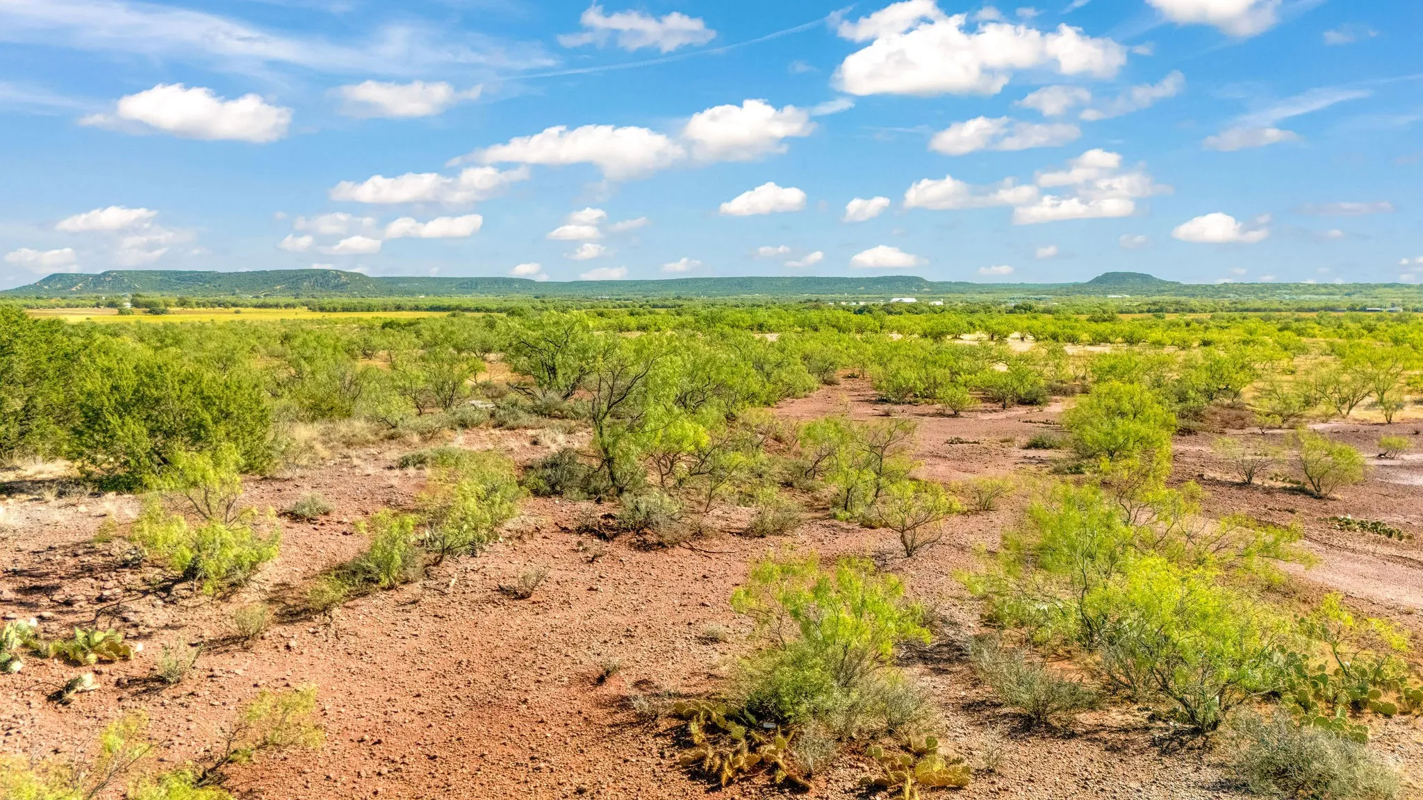 Unimproved Land For Sale in Taylor County , TBD CR 154, Tuscola, Texas 79562, 0, 0, Garage spaces, 0 Sqft, built in 0, mls#21398670, Real Estate Agent in Tuscola, Homes For Sale in Taylor county, Homes For Sale in Tuscola, Realtor in Tuscola Texas, Real Estate Brokerage Independent Realty Texas, Luminita Cordes Realtor