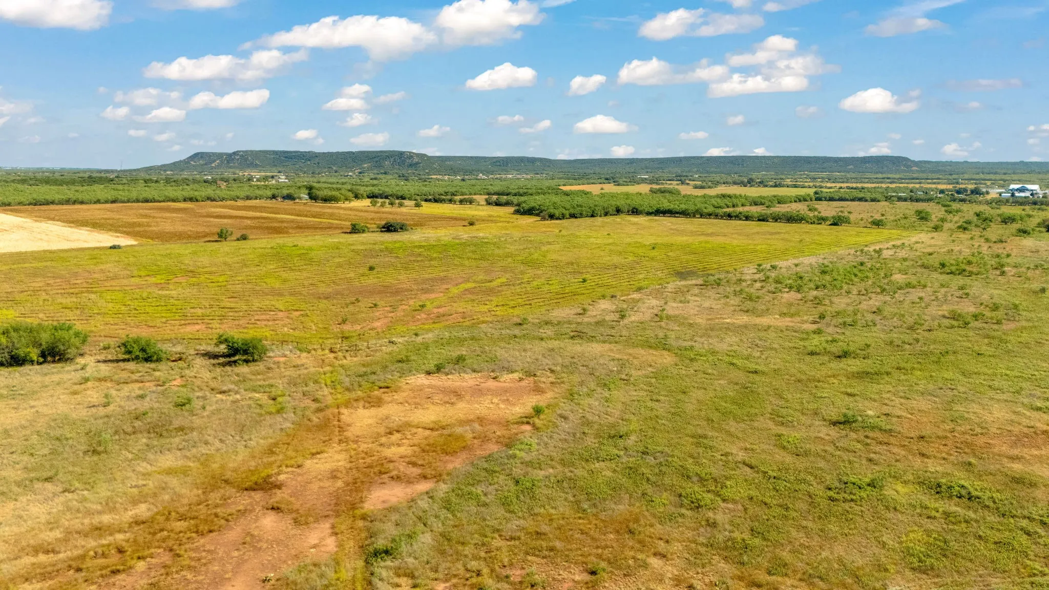 Unimproved Land For Sale in Taylor County , TBD CR 154, Tuscola, Texas 79562, 0, 0, Garage spaces, 0 Sqft, built in 0, mls#21398670, Real Estate Agent in Tuscola, Homes For Sale in Taylor county, Homes For Sale in Tuscola, Realtor in Tuscola Texas, Real Estate Brokerage Independent Realty Texas, Luminita Cordes Realtor