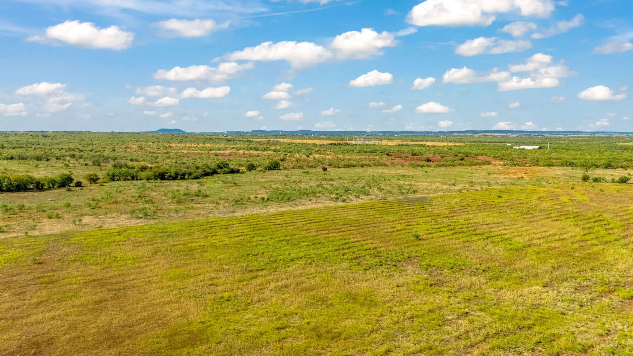 Unimproved Land For Sale in Taylor County , TBD CR 154, Tuscola, Texas 79562, 0, 0, Garage spaces, 0 Sqft, built in 0, mls#21398670, Real Estate Agent in Tuscola, Homes For Sale in Taylor county, Homes For Sale in Tuscola, Realtor in Tuscola Texas, Real Estate Brokerage Independent Realty Texas, Luminita Cordes Realtor