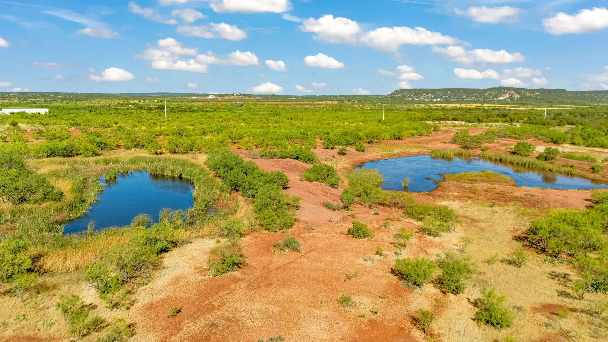 Unimproved Land For Sale in Taylor County , TBD CR 154, Tuscola, Texas 79562, 0, 0, Garage spaces, 0 Sqft, built in 0, mls#21398670, Real Estate Agent in Tuscola, Homes For Sale in Taylor county, Homes For Sale in Tuscola, Realtor in Tuscola Texas, Real Estate Brokerage Independent Realty Texas, Luminita Cordes Realtor