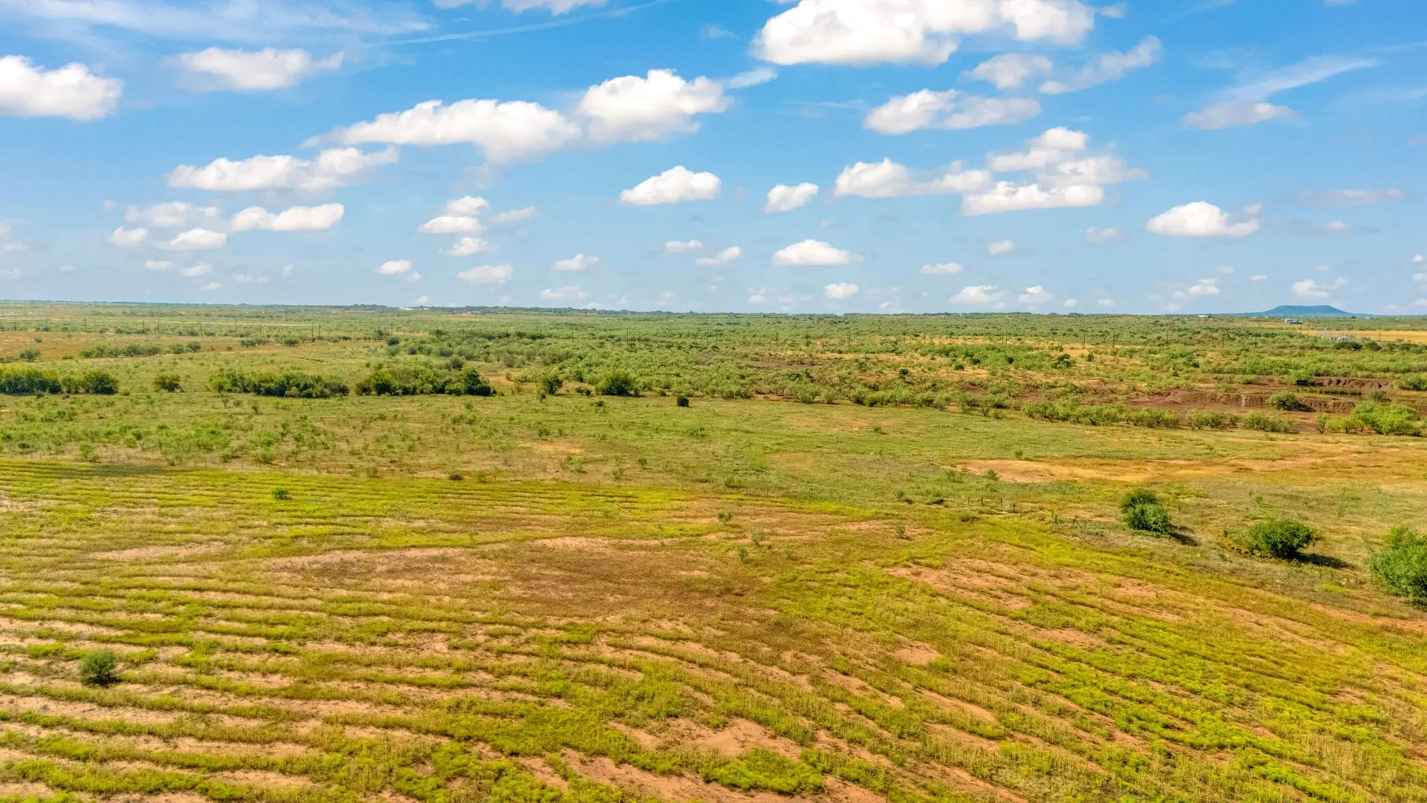 Unimproved Land For Sale in Taylor County , TBD CR 154, Tuscola, Texas 79562, 0, 0, Garage spaces, 0 Sqft, built in 0, mls#21398670, Real Estate Agent in Tuscola, Homes For Sale in Taylor county, Homes For Sale in Tuscola, Realtor in Tuscola Texas, Real Estate Brokerage Independent Realty Texas, Luminita Cordes Realtor