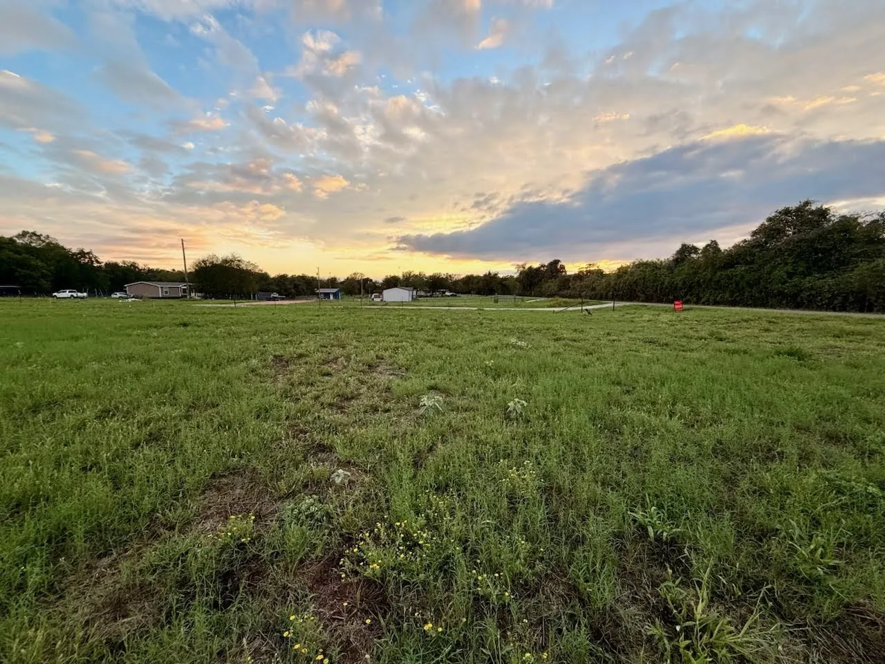 Expansive grass field with distant structures and mature trees