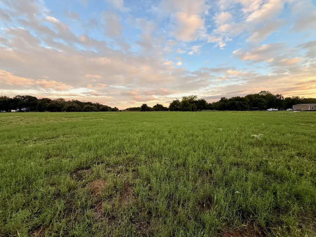 Expansive green pasture with a backdrop of mature trees