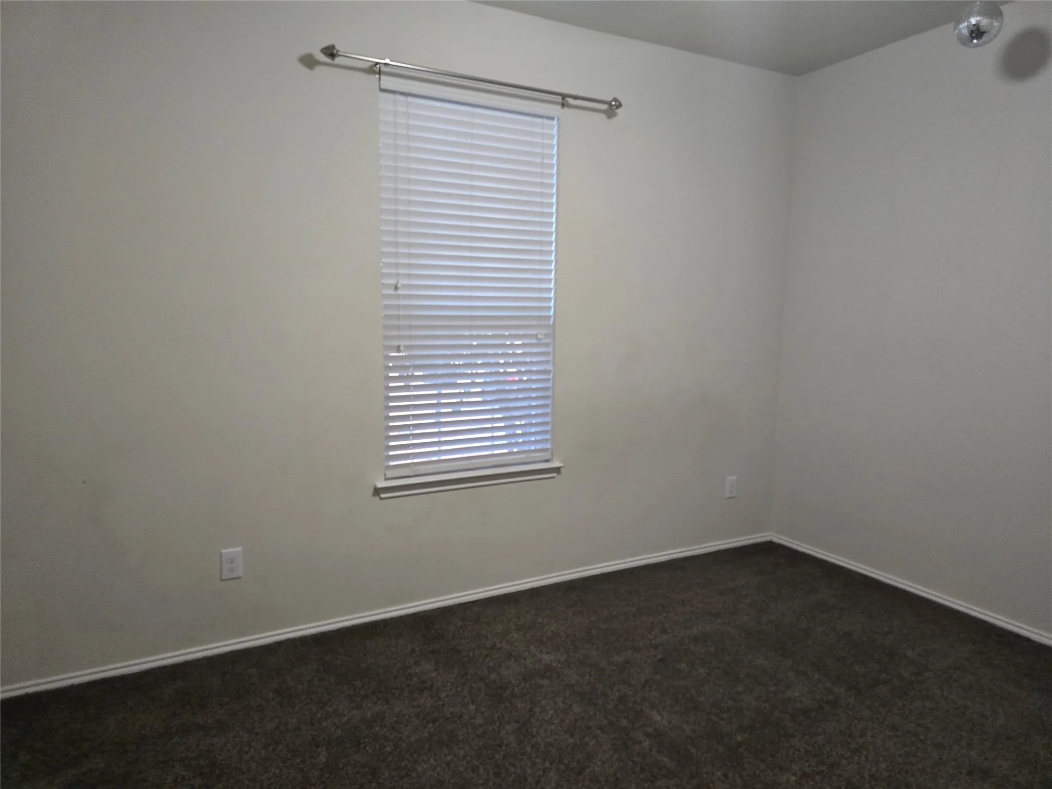 Neutral wall color, window with blinds, and dark carpet flooring