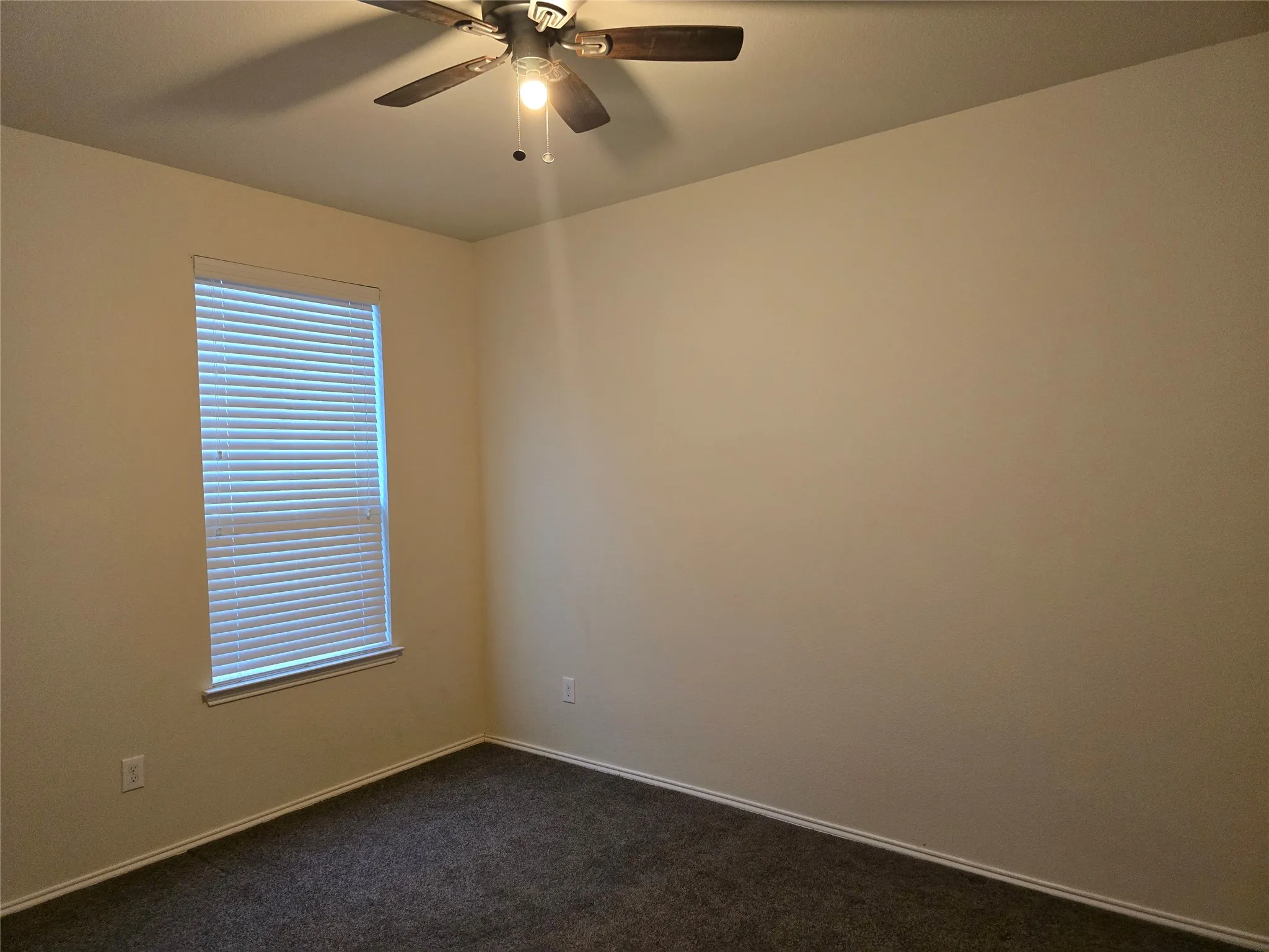 Wall-to-wall carpeting, a single window with blinds, and a ceiling fan with integrated lighting
