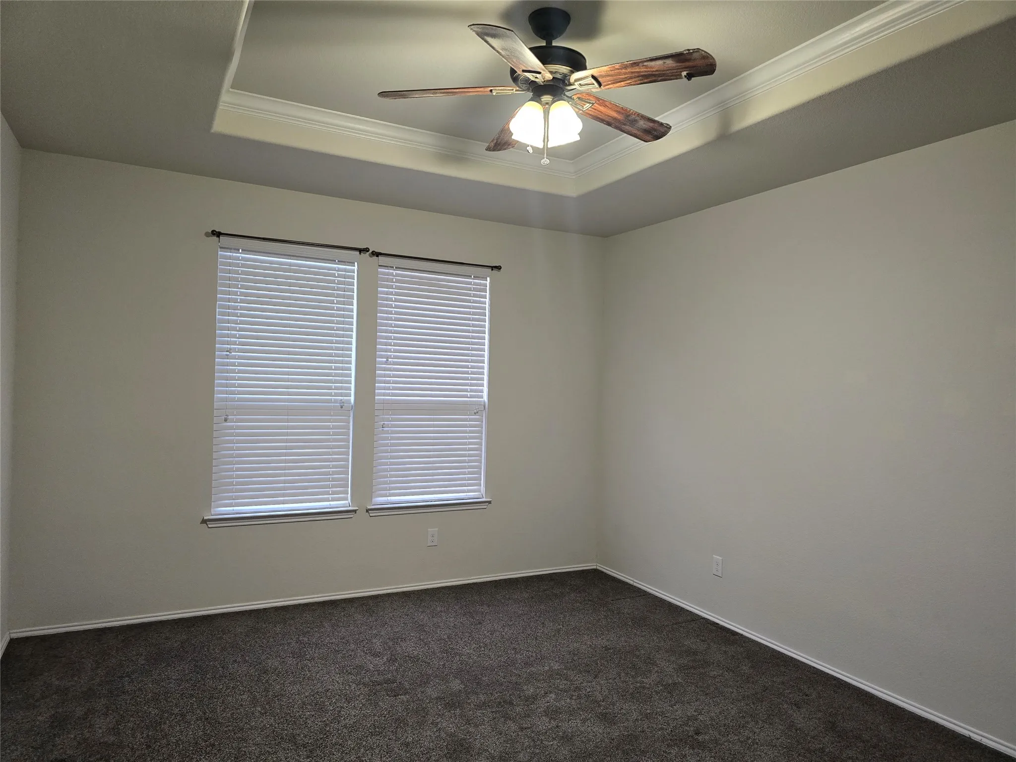 Recessed tray ceiling with crown molding, ceiling fan with light fixture, dual windows with blinds, and neutral carpet flooring