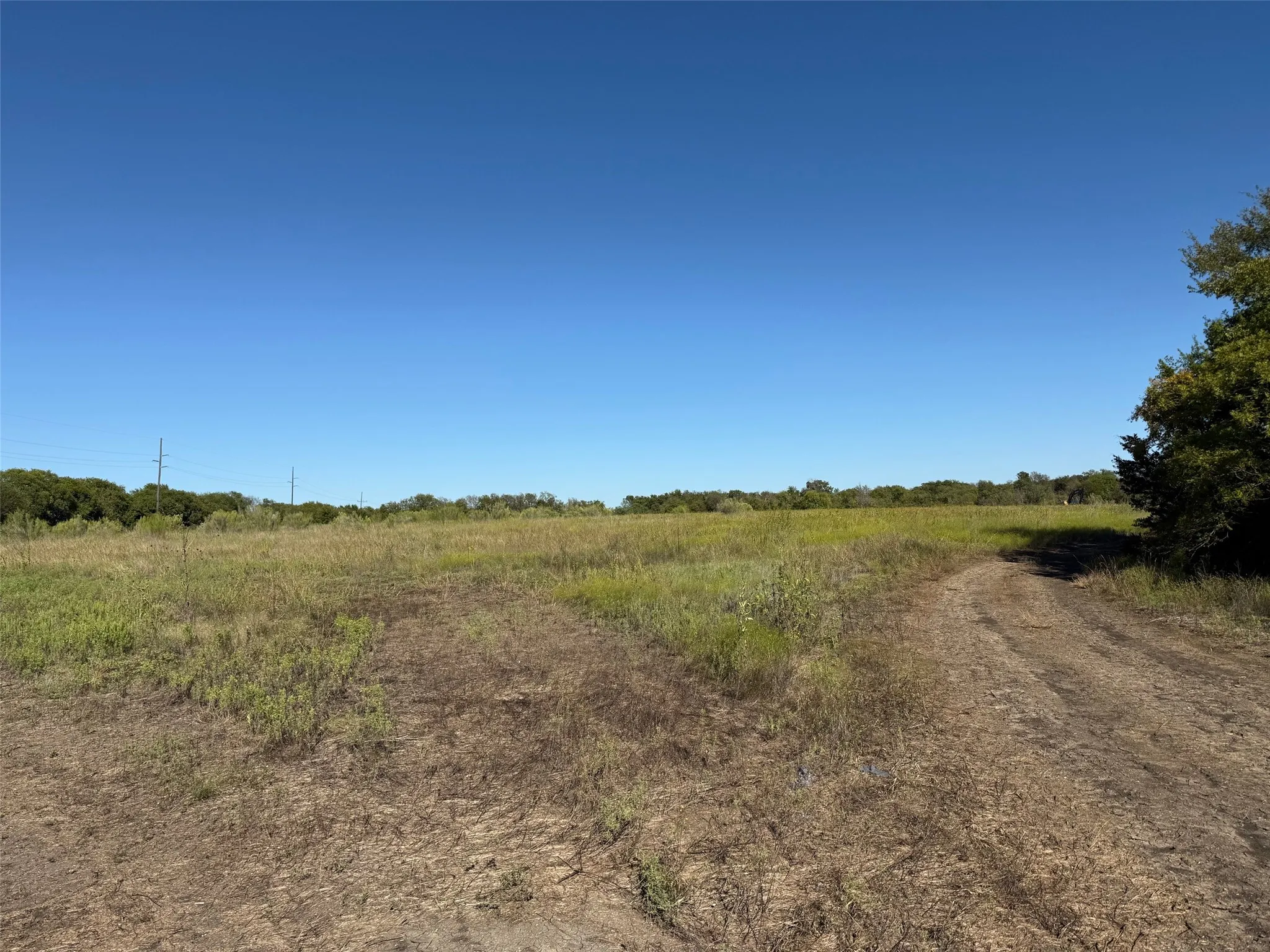 Unimproved Land For Sale in Hill County , 204 Forest Lane, Hillsboro, Texas 76645, 0, 0, Garage spaces, 0 Sqft, built in 0, mls#21403046, Real Estate Agent in Hillsboro, Homes For Sale in Hill county, Homes For Sale in Hillsboro, Realtor in Hillsboro Texas, Real Estate Brokerage Independent Realty Texas, Luminita Cordes Realtor