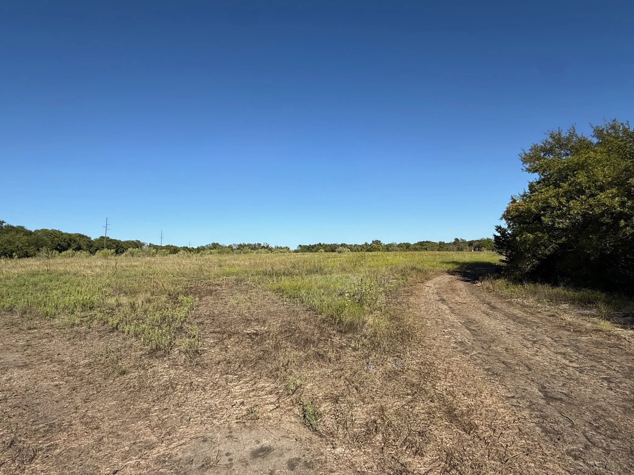 Unimproved Land For Sale in Hill County , 204 Forest Lane, Hillsboro, Texas 76645, 0, 0, Garage spaces, 0 Sqft, built in 0, mls#21403046, Real Estate Agent in Hillsboro, Homes For Sale in Hill county, Homes For Sale in Hillsboro, Realtor in Hillsboro Texas, Real Estate Brokerage Independent Realty Texas, Luminita Cordes Realtor