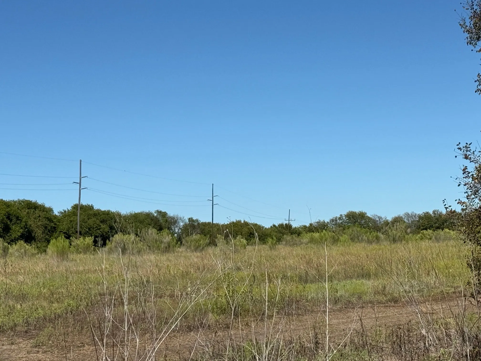 Unimproved Land For Sale in Hill County , 204 Forest Lane, Hillsboro, Texas 76645, 0, 0, Garage spaces, 0 Sqft, built in 0, mls#21403046, Real Estate Agent in Hillsboro, Homes For Sale in Hill county, Homes For Sale in Hillsboro, Realtor in Hillsboro Texas, Real Estate Brokerage Independent Realty Texas, Luminita Cordes Realtor