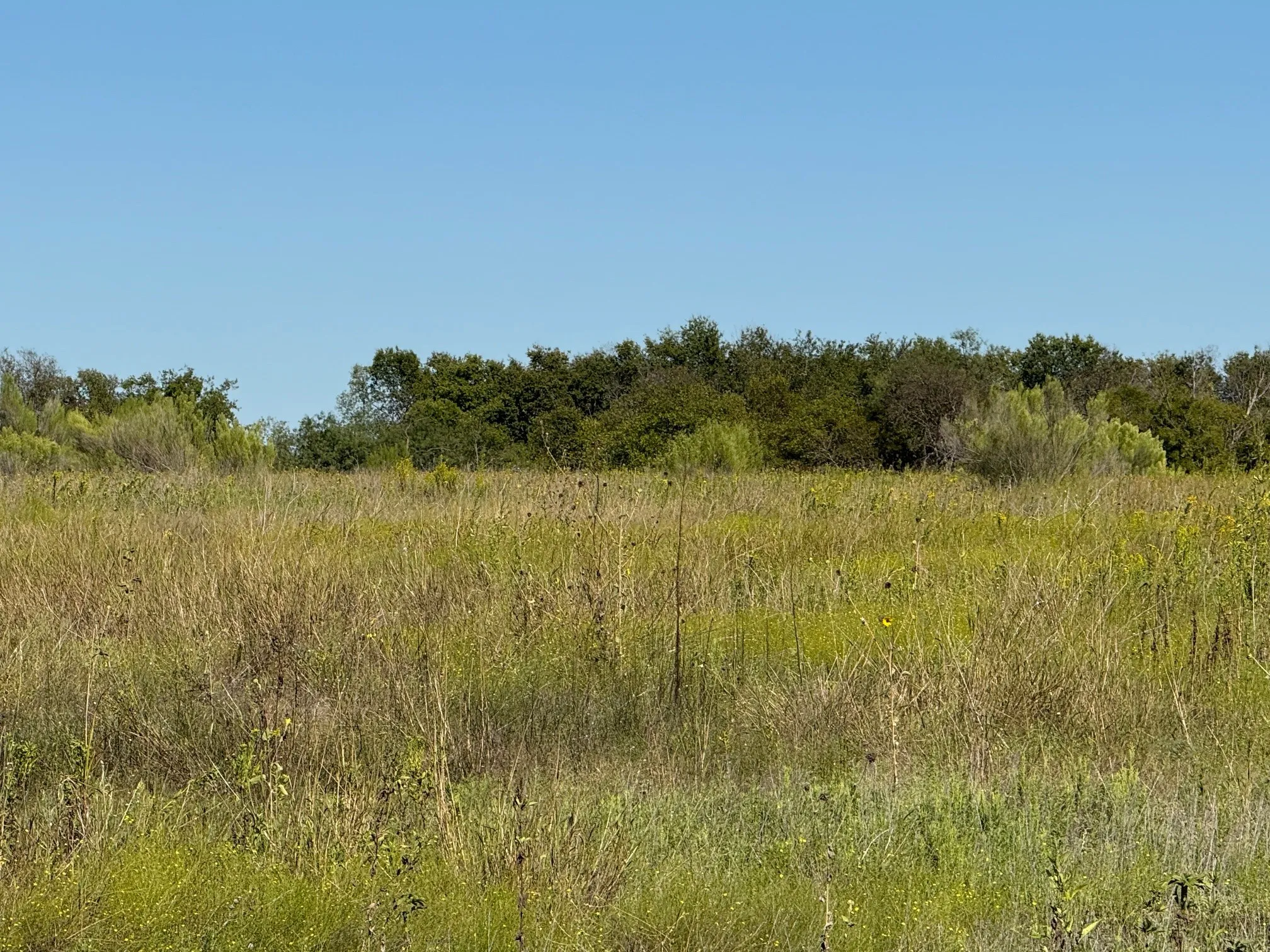 Unimproved Land For Sale in Hill County , 204 Forest Lane, Hillsboro, Texas 76645, 0, 0, Garage spaces, 0 Sqft, built in 0, mls#21403046, Real Estate Agent in Hillsboro, Homes For Sale in Hill county, Homes For Sale in Hillsboro, Realtor in Hillsboro Texas, Real Estate Brokerage Independent Realty Texas, Luminita Cordes Realtor