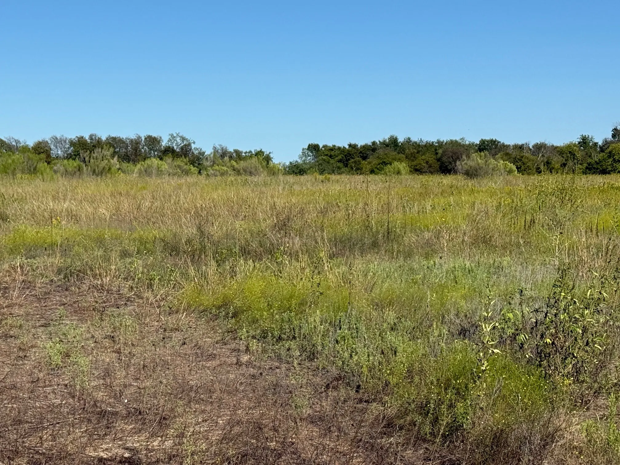 Unimproved Land For Sale in Hill County , 204 Forest Lane, Hillsboro, Texas 76645, 0, 0, Garage spaces, 0 Sqft, built in 0, mls#21403046, Real Estate Agent in Hillsboro, Homes For Sale in Hill county, Homes For Sale in Hillsboro, Realtor in Hillsboro Texas, Real Estate Brokerage Independent Realty Texas, Luminita Cordes Realtor