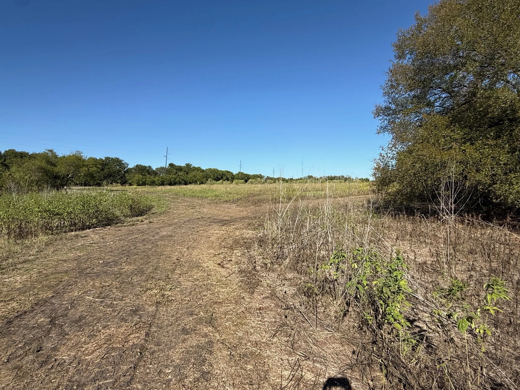 Unimproved Land For Sale in Hill County , 204 Forest Lane, Hillsboro, Texas 76645, 0, 0, Garage spaces, 0 Sqft, built in 0, mls#21403046, Real Estate Agent in Hillsboro, Homes For Sale in Hill county, Homes For Sale in Hillsboro, Realtor in Hillsboro Texas, Real Estate Brokerage Independent Realty Texas, Luminita Cordes Realtor