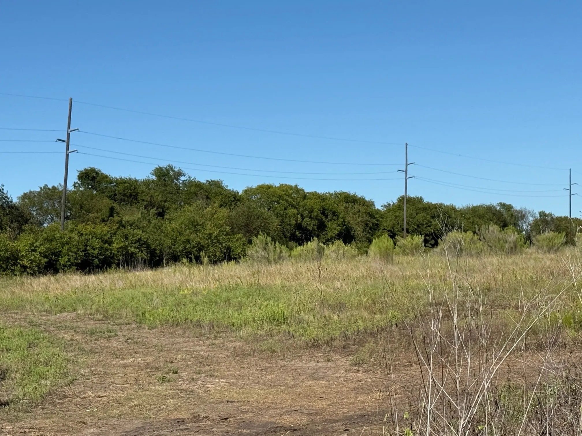Unimproved Land For Sale in Hill County , 204 Forest Lane, Hillsboro, Texas 76645, 0, 0, Garage spaces, 0 Sqft, built in 0, mls#21403046, Real Estate Agent in Hillsboro, Homes For Sale in Hill county, Homes For Sale in Hillsboro, Realtor in Hillsboro Texas, Real Estate Brokerage Independent Realty Texas, Luminita Cordes Realtor