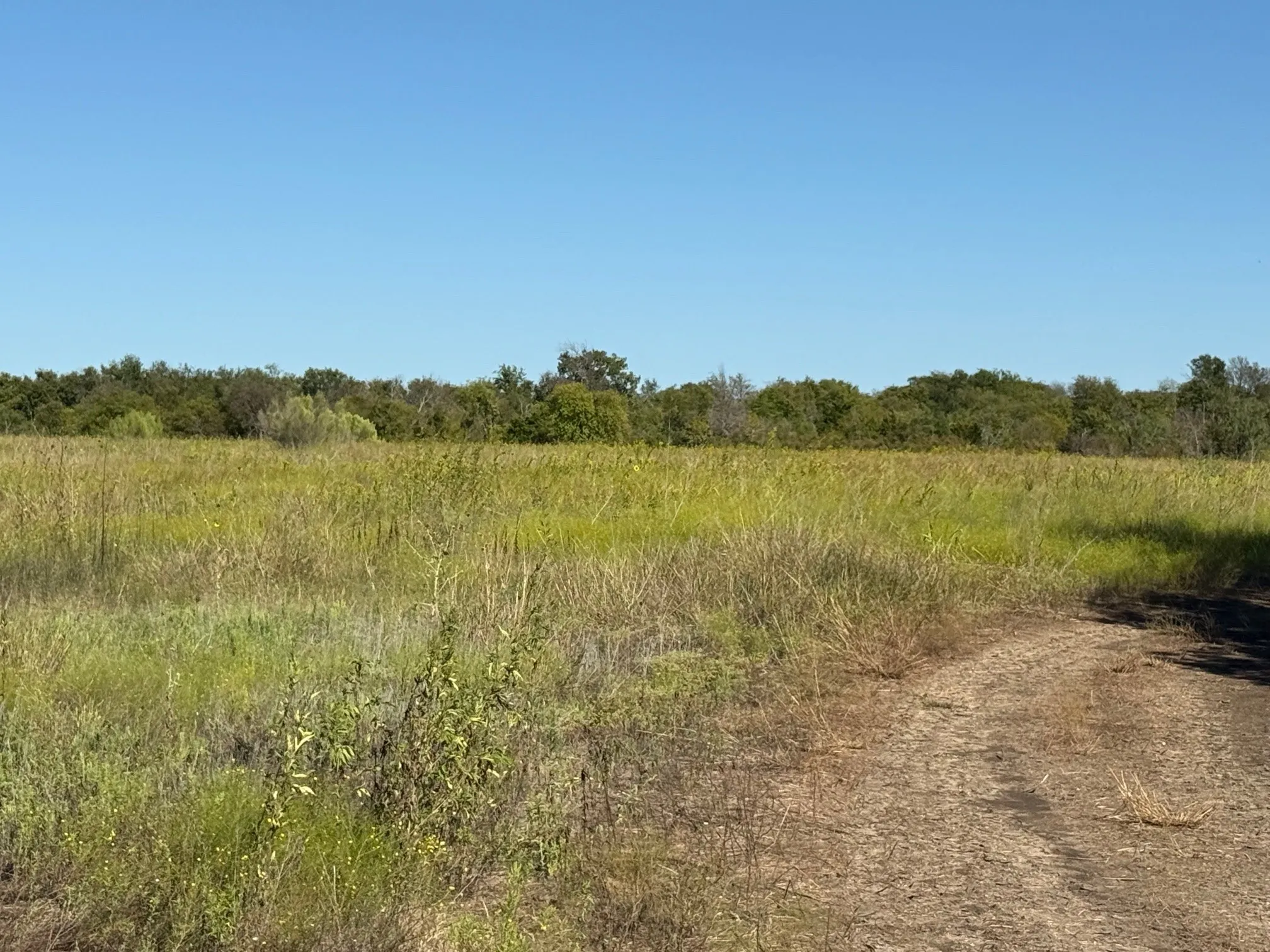 Unimproved Land For Sale in Hill County , 204 Forest Lane, Hillsboro, Texas 76645, 0, 0, Garage spaces, 0 Sqft, built in 0, mls#21403046, Real Estate Agent in Hillsboro, Homes For Sale in Hill county, Homes For Sale in Hillsboro, Realtor in Hillsboro Texas, Real Estate Brokerage Independent Realty Texas, Luminita Cordes Realtor