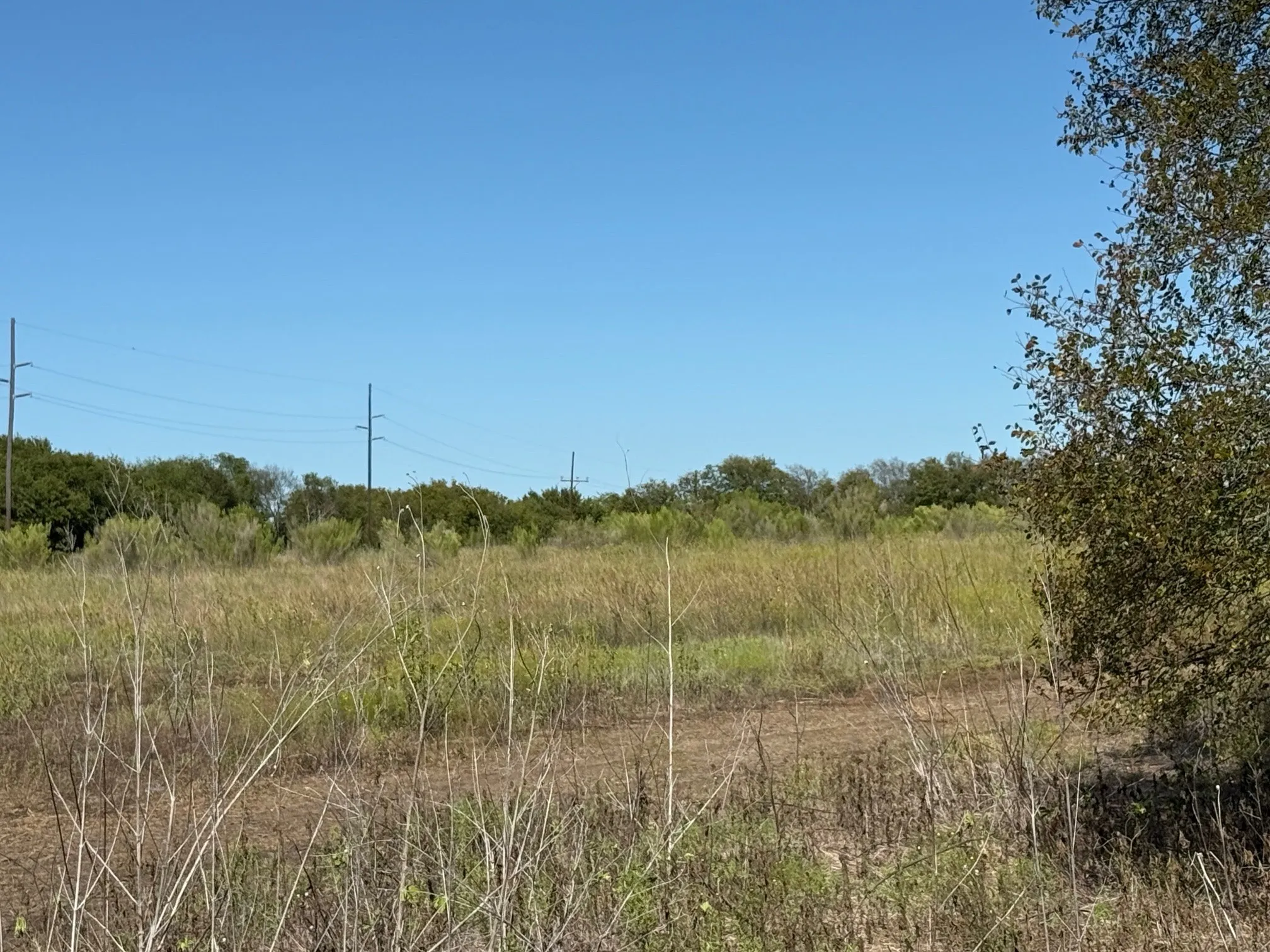 Unimproved Land For Sale in Hill County , 204 Forest Lane, Hillsboro, Texas 76645, 0, 0, Garage spaces, 0 Sqft, built in 0, mls#21403046, Real Estate Agent in Hillsboro, Homes For Sale in Hill county, Homes For Sale in Hillsboro, Realtor in Hillsboro Texas, Real Estate Brokerage Independent Realty Texas, Luminita Cordes Realtor
