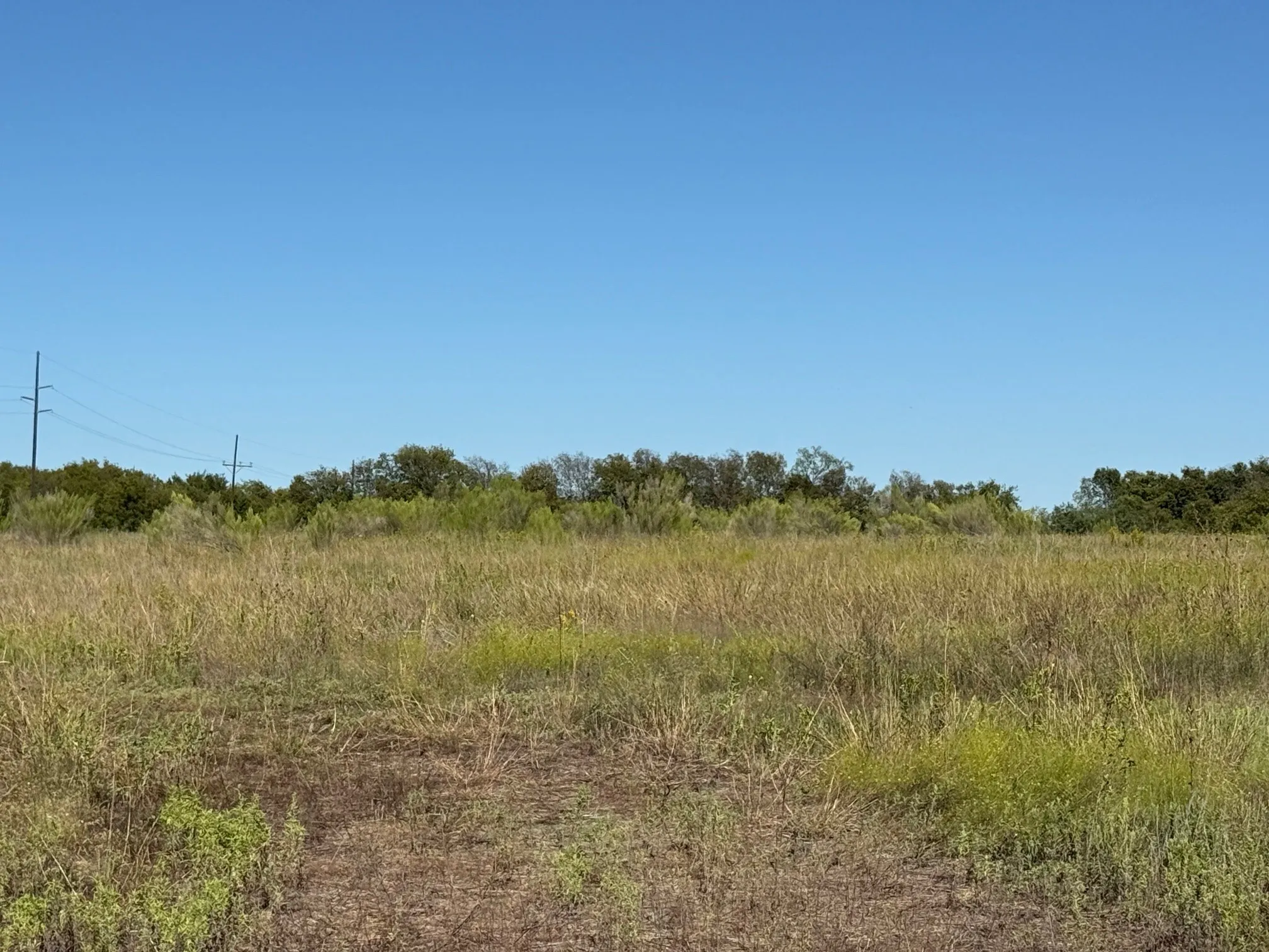 Unimproved Land For Sale in Hill County , 204 Forest Lane, Hillsboro, Texas 76645, 0, 0, Garage spaces, 0 Sqft, built in 0, mls#21403046, Real Estate Agent in Hillsboro, Homes For Sale in Hill county, Homes For Sale in Hillsboro, Realtor in Hillsboro Texas, Real Estate Brokerage Independent Realty Texas, Luminita Cordes Realtor