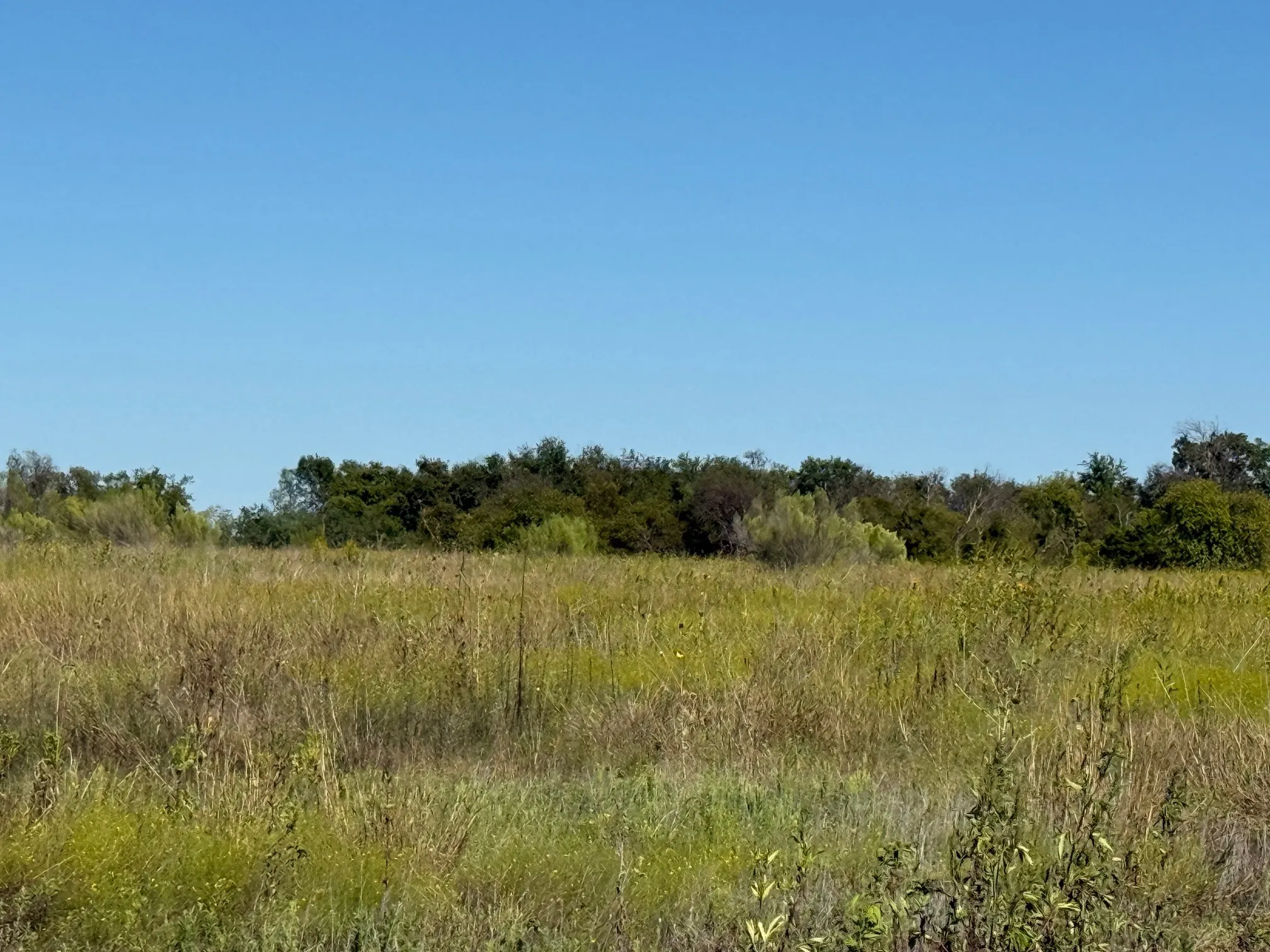 Unimproved Land For Sale in Hill County , 204 Forest Lane, Hillsboro, Texas 76645, 0, 0, Garage spaces, 0 Sqft, built in 0, mls#21403046, Real Estate Agent in Hillsboro, Homes For Sale in Hill county, Homes For Sale in Hillsboro, Realtor in Hillsboro Texas, Real Estate Brokerage Independent Realty Texas, Luminita Cordes Realtor