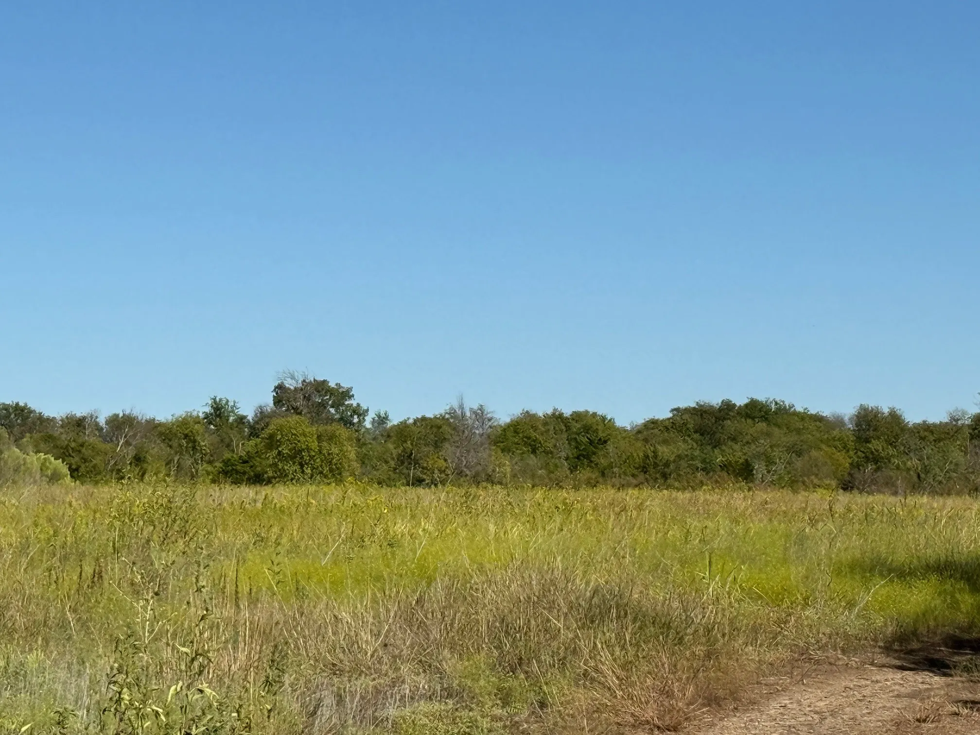 Unimproved Land For Sale in Hill County , 204 Forest Lane, Hillsboro, Texas 76645, 0, 0, Garage spaces, 0 Sqft, built in 0, mls#21403046, Real Estate Agent in Hillsboro, Homes For Sale in Hill county, Homes For Sale in Hillsboro, Realtor in Hillsboro Texas, Real Estate Brokerage Independent Realty Texas, Luminita Cordes Realtor