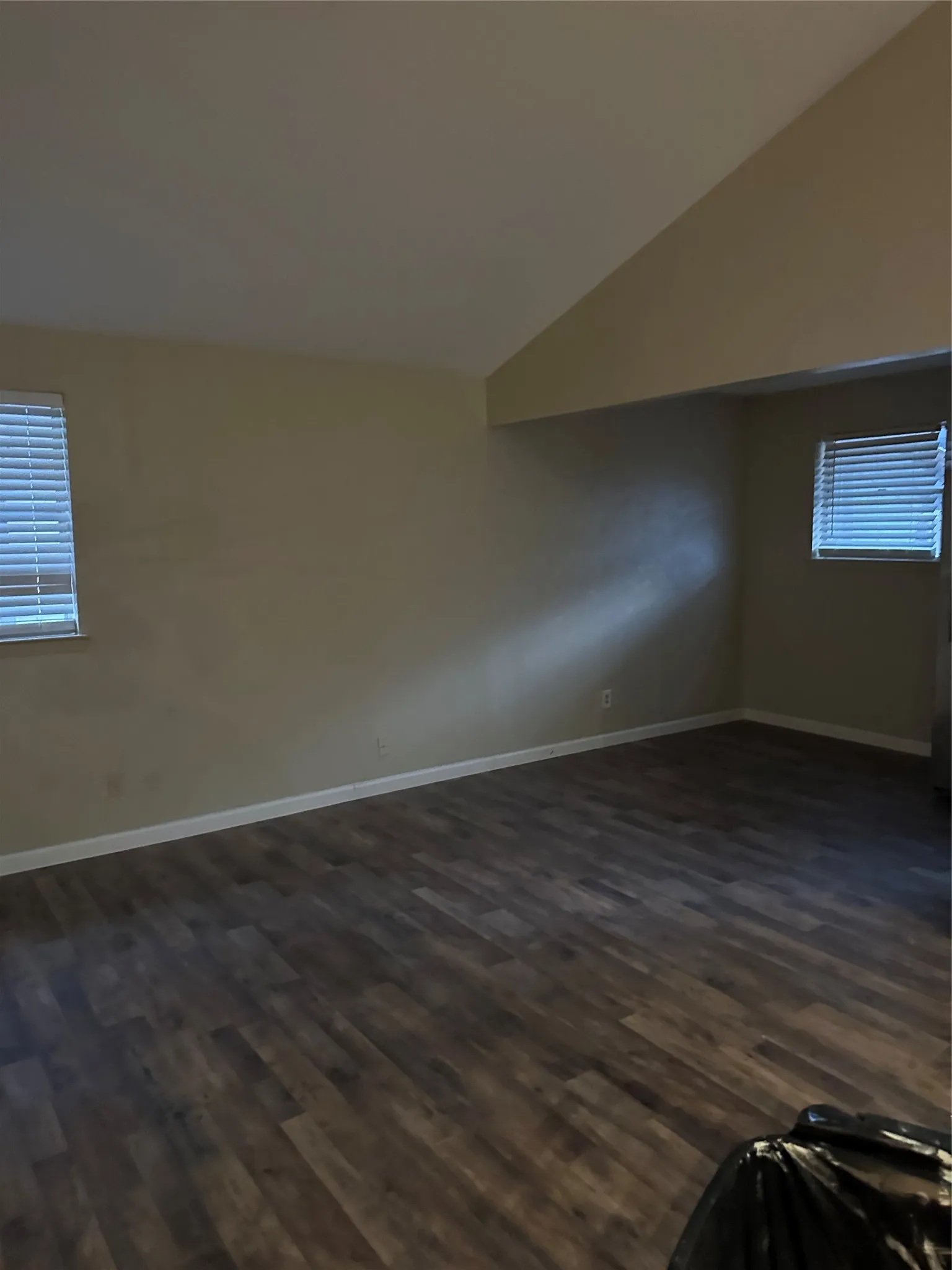 Wood-finish flooring with white baseboards, two windows with horizontal blinds, and neutral-toned walls