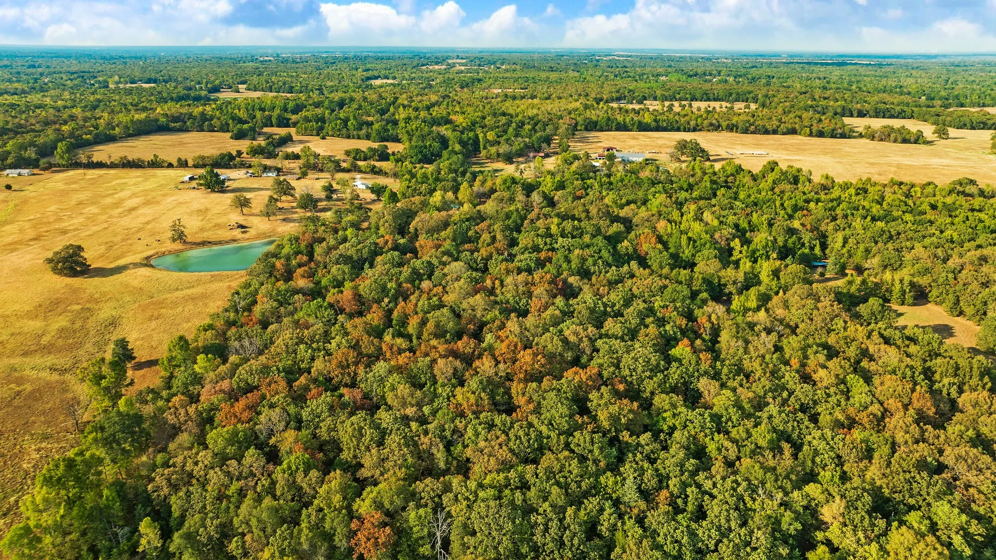 Unimproved Land For Sale in Lamar County , TRACT B CR 44400, Powderly, Texas 75473, 0, 0, Garage spaces, 0 Sqft, built in 0, mls#21402234, Real Estate Agent in Powderly, Homes For Sale in Lamar county, Homes For Sale in Powderly, Realtor in Powderly Texas, Real Estate Brokerage Independent Realty Texas, Luminita Cordes Realtor