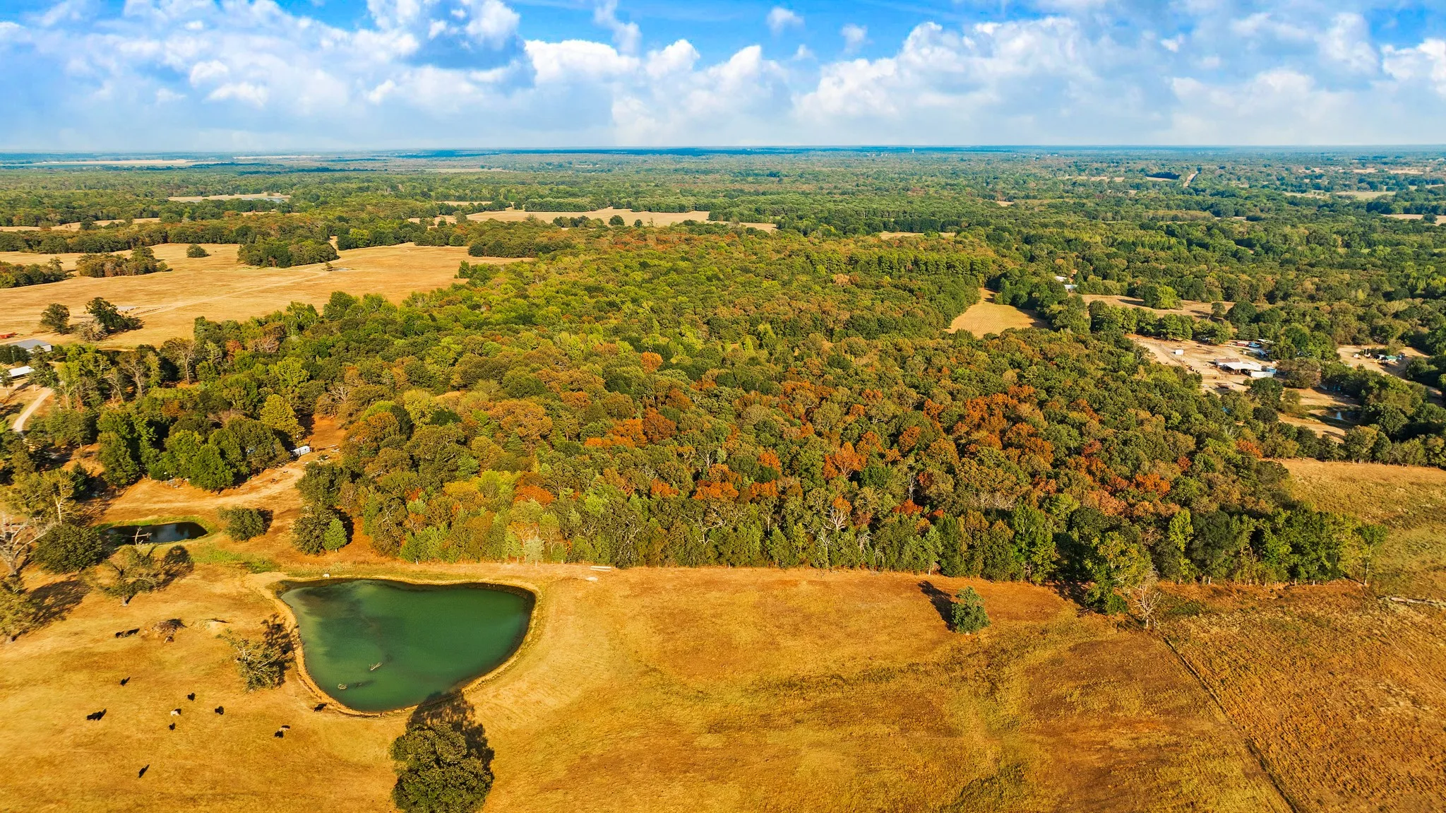 Unimproved Land For Sale in Lamar County , TRACT B CR 44400, Powderly, Texas 75473, 0, 0, Garage spaces, 0 Sqft, built in 0, mls#21402234, Real Estate Agent in Powderly, Homes For Sale in Lamar county, Homes For Sale in Powderly, Realtor in Powderly Texas, Real Estate Brokerage Independent Realty Texas, Luminita Cordes Realtor