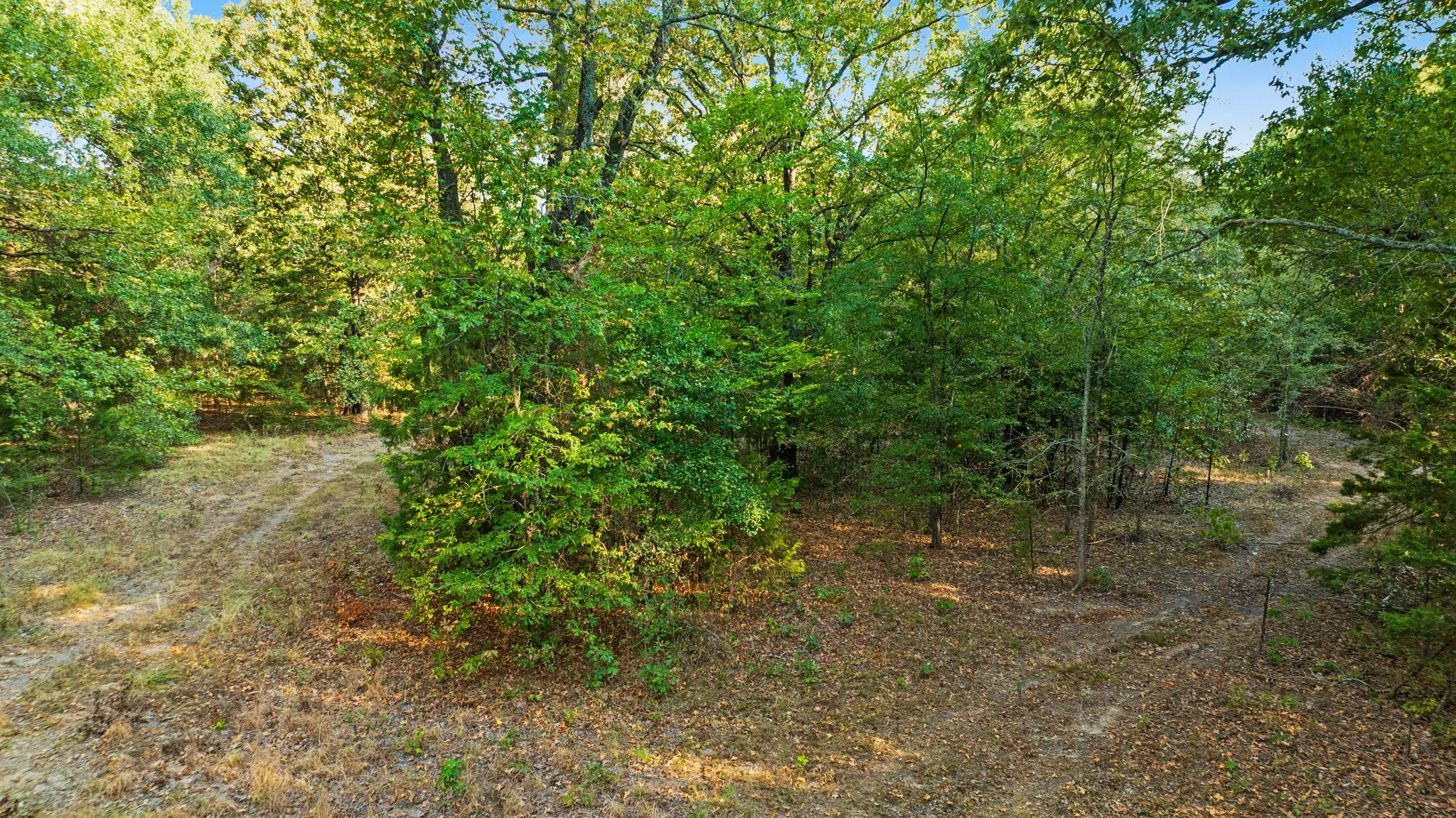 Unimproved Land For Sale in Lamar County , TRACT B CR 44400, Powderly, Texas 75473, 0, 0, Garage spaces, 0 Sqft, built in 0, mls#21402234, Real Estate Agent in Powderly, Homes For Sale in Lamar county, Homes For Sale in Powderly, Realtor in Powderly Texas, Real Estate Brokerage Independent Realty Texas, Luminita Cordes Realtor