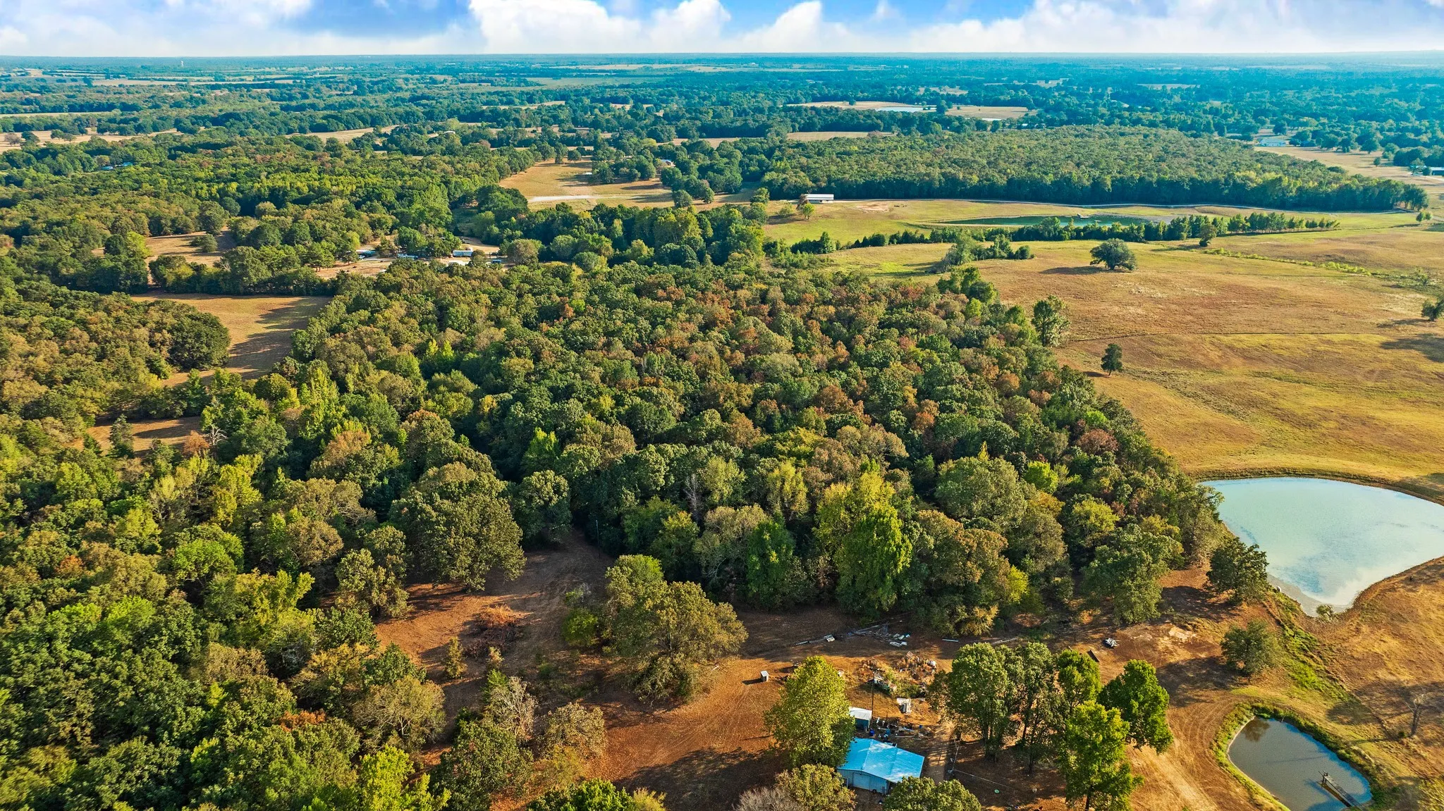 Unimproved Land For Sale in Lamar County , TRACT B CR 44400, Powderly, Texas 75473, 0, 0, Garage spaces, 0 Sqft, built in 0, mls#21402234, Real Estate Agent in Powderly, Homes For Sale in Lamar county, Homes For Sale in Powderly, Realtor in Powderly Texas, Real Estate Brokerage Independent Realty Texas, Luminita Cordes Realtor