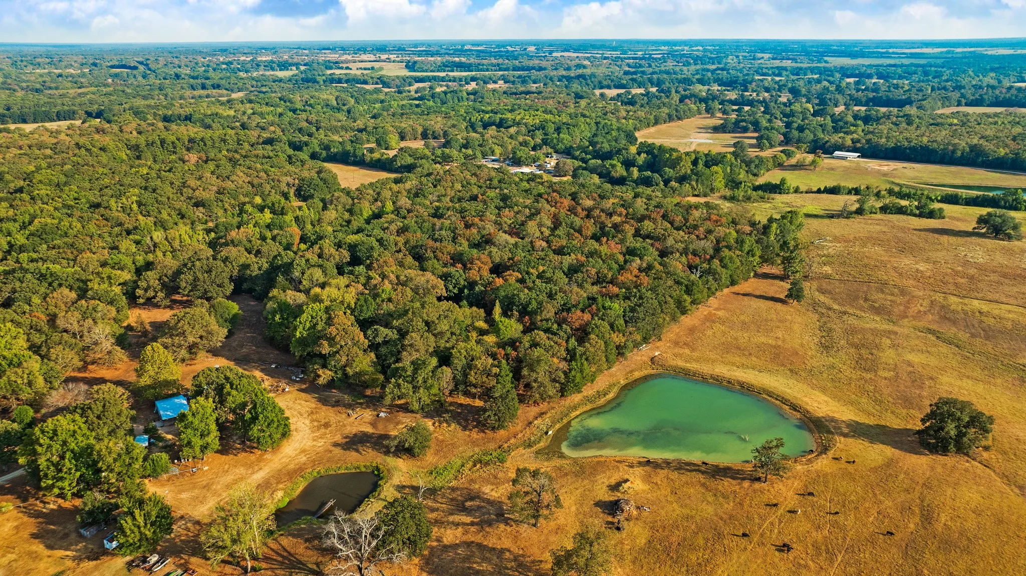 Unimproved Land For Sale in Lamar County , TRACT A CR 44400, Powderly, Texas 75473, 0, 0, Garage spaces, 0 Sqft, built in 0, mls#21402218, Real Estate Agent in Powderly, Homes For Sale in Lamar county, Homes For Sale in Powderly, Realtor in Powderly Texas, Real Estate Brokerage Independent Realty Texas, Luminita Cordes Realtor