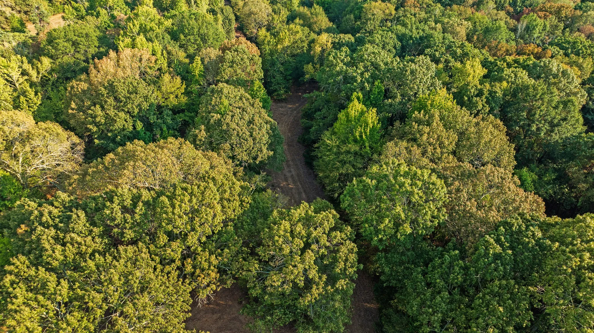 Unimproved Land For Sale in Lamar County , TRACT A CR 44400, Powderly, Texas 75473, 0, 0, Garage spaces, 0 Sqft, built in 0, mls#21402218, Real Estate Agent in Powderly, Homes For Sale in Lamar county, Homes For Sale in Powderly, Realtor in Powderly Texas, Real Estate Brokerage Independent Realty Texas, Luminita Cordes Realtor