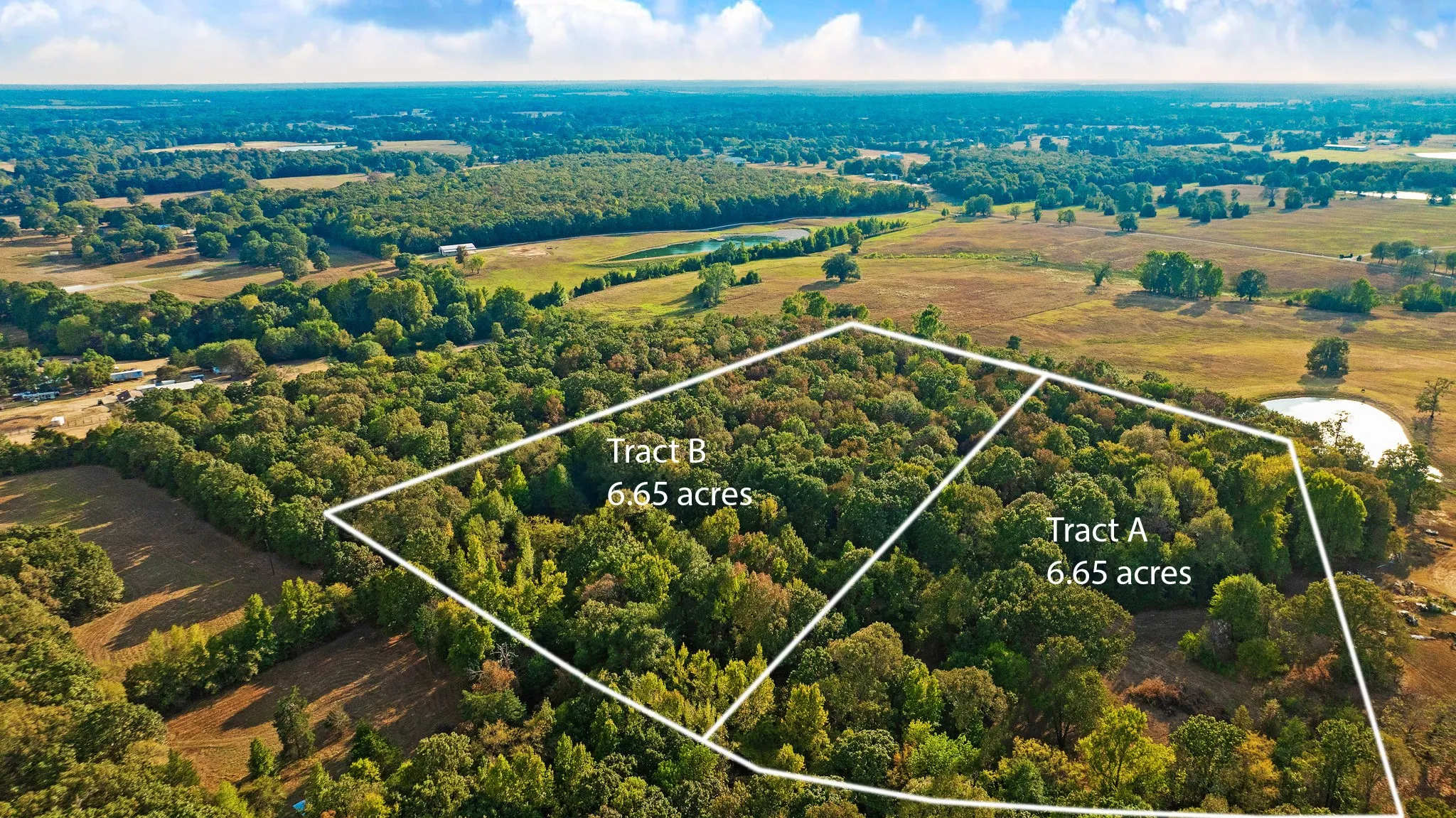 Unimproved Land For Sale in Lamar County , TRACT A CR 44400, Powderly, Texas 75473, 0, 0, Garage spaces, 0 Sqft, built in 0, mls#21402218, Real Estate Agent in Powderly, Homes For Sale in Lamar county, Homes For Sale in Powderly, Realtor in Powderly Texas, Real Estate Brokerage Independent Realty Texas, Luminita Cordes Realtor