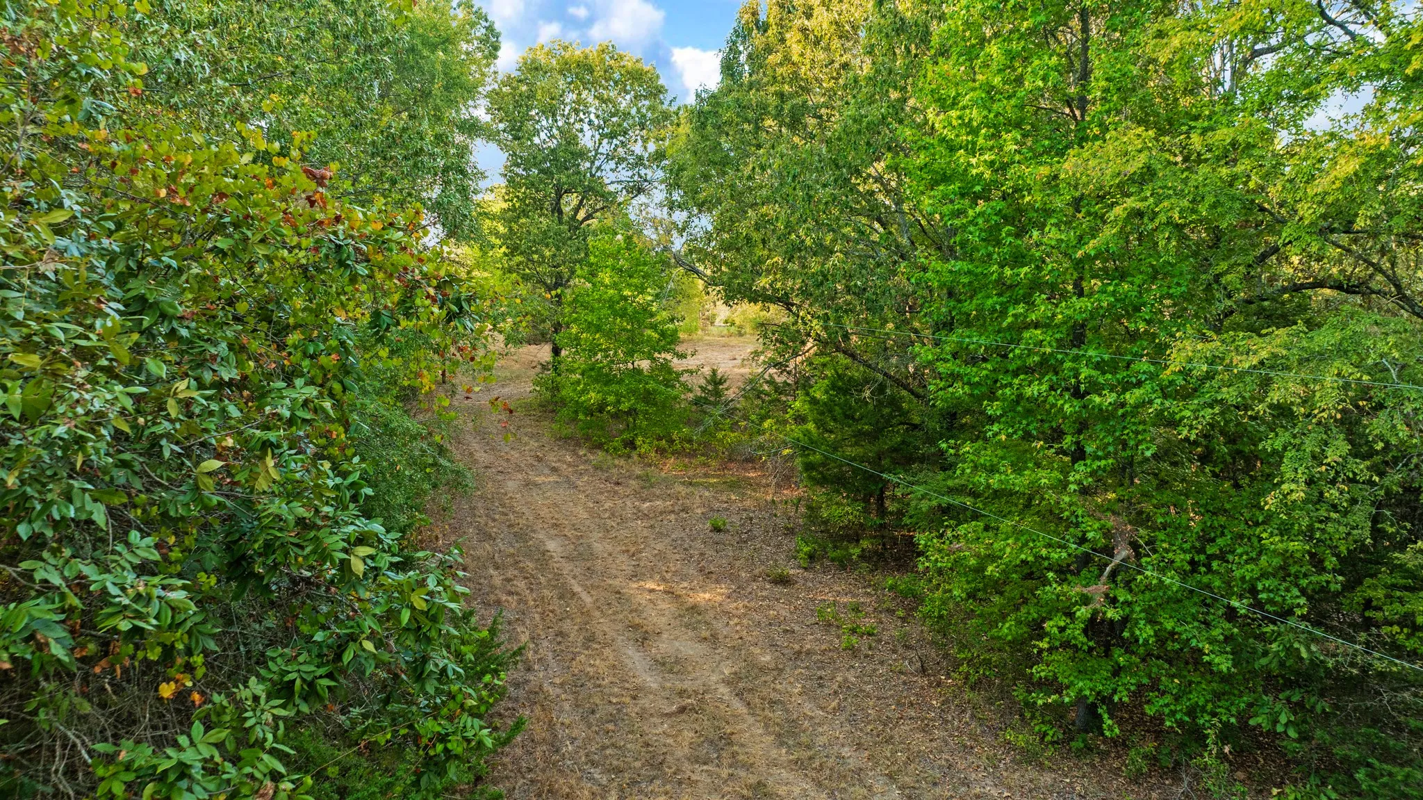 Unimproved Land For Sale in Lamar County , TRACT A CR 44400, Powderly, Texas 75473, 0, 0, Garage spaces, 0 Sqft, built in 0, mls#21402218, Real Estate Agent in Powderly, Homes For Sale in Lamar county, Homes For Sale in Powderly, Realtor in Powderly Texas, Real Estate Brokerage Independent Realty Texas, Luminita Cordes Realtor