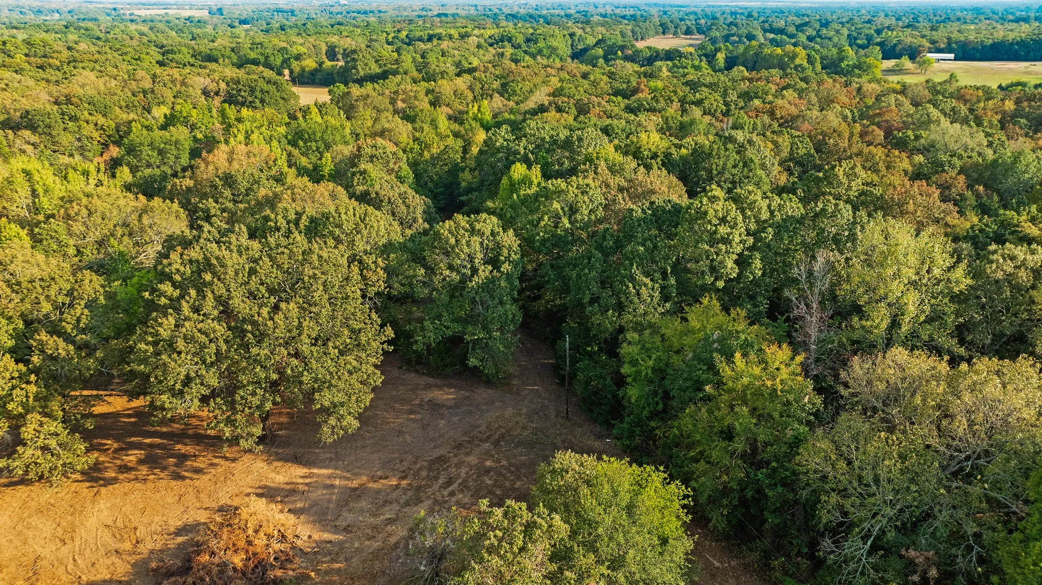 Unimproved Land For Sale in Lamar County , TRACT A CR 44400, Powderly, Texas 75473, 0, 0, Garage spaces, 0 Sqft, built in 0, mls#21402218, Real Estate Agent in Powderly, Homes For Sale in Lamar county, Homes For Sale in Powderly, Realtor in Powderly Texas, Real Estate Brokerage Independent Realty Texas, Luminita Cordes Realtor