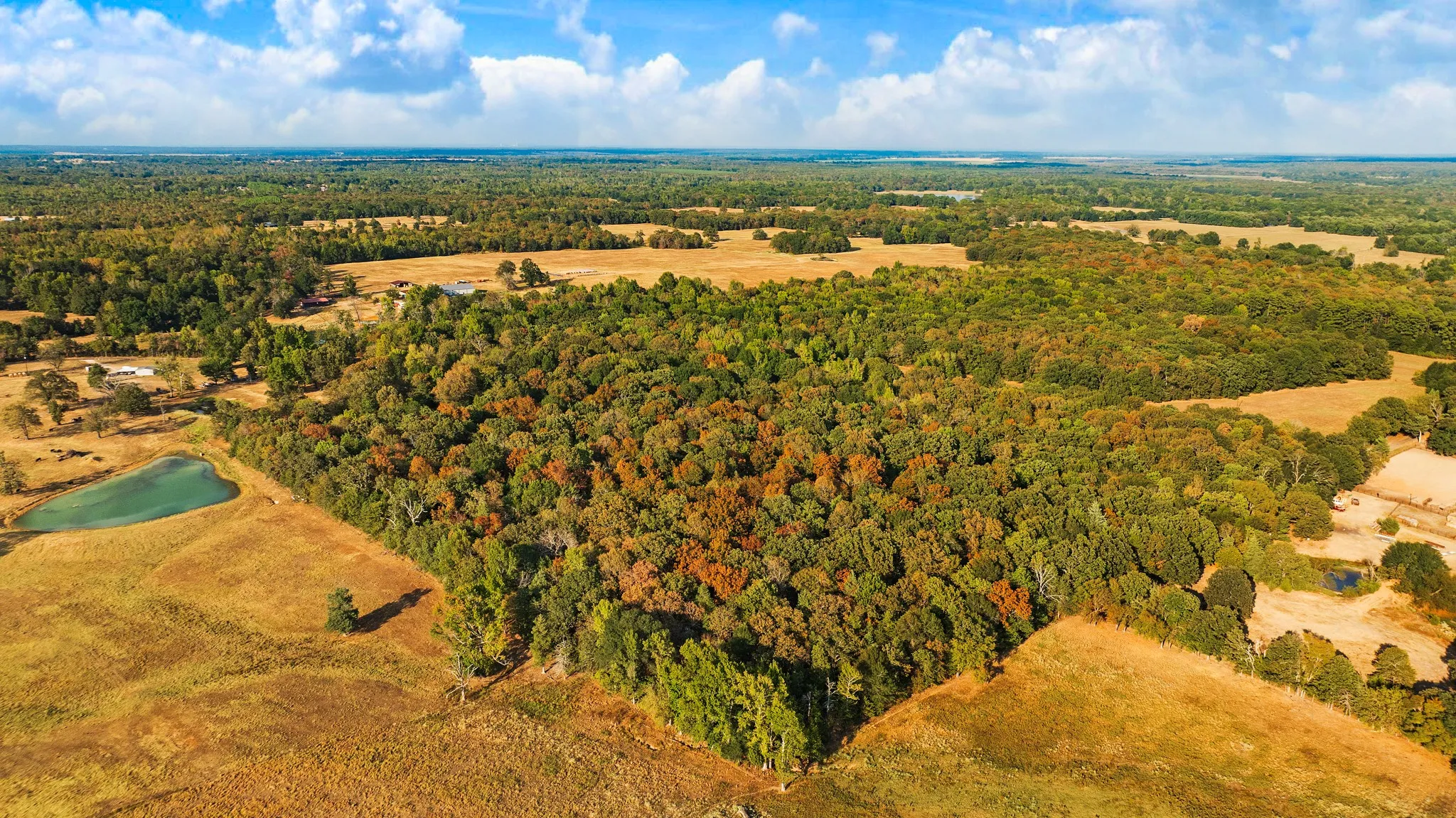 Unimproved Land For Sale in Lamar County , TRACT A CR 44400, Powderly, Texas 75473, 0, 0, Garage spaces, 0 Sqft, built in 0, mls#21402218, Real Estate Agent in Powderly, Homes For Sale in Lamar county, Homes For Sale in Powderly, Realtor in Powderly Texas, Real Estate Brokerage Independent Realty Texas, Luminita Cordes Realtor