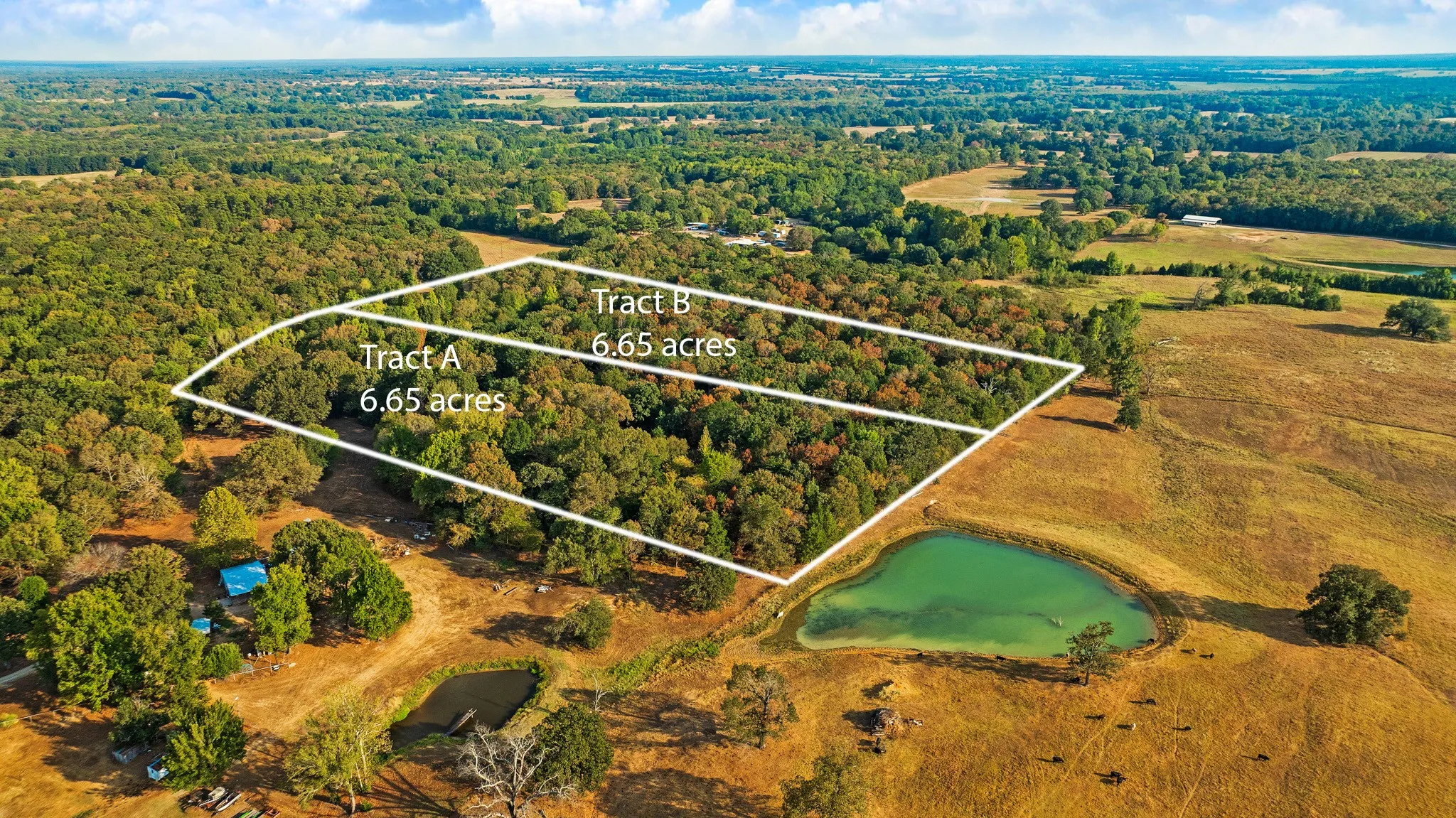 Unimproved Land For Sale in Lamar County , TRACT A CR 44400, Powderly, Texas 75473, 0, 0, Garage spaces, 0 Sqft, built in 0, mls#21402218, Real Estate Agent in Powderly, Homes For Sale in Lamar county, Homes For Sale in Powderly, Realtor in Powderly Texas, Real Estate Brokerage Independent Realty Texas, Luminita Cordes Realtor