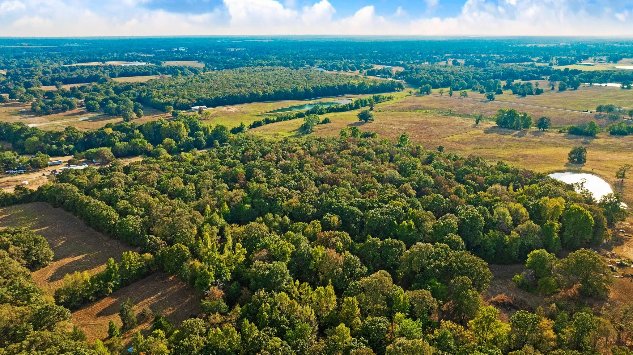 Unimproved Land For Sale in Lamar County , TRACT A CR 44400, Powderly, Texas 75473, 0, 0, Garage spaces, 0 Sqft, built in 0, mls#21402218, Real Estate Agent in Powderly, Homes For Sale in Lamar county, Homes For Sale in Powderly, Realtor in Powderly Texas, Real Estate Brokerage Independent Realty Texas, Luminita Cordes Realtor