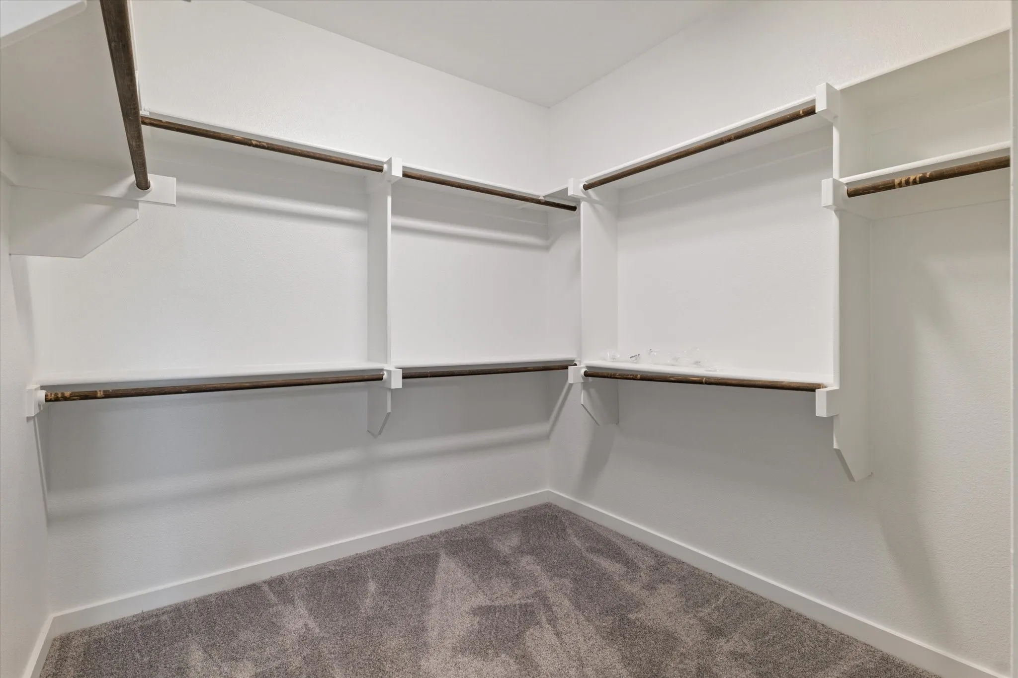 Walk-in closet featuring white built-in shelving, hanging rods, and gray carpet flooring