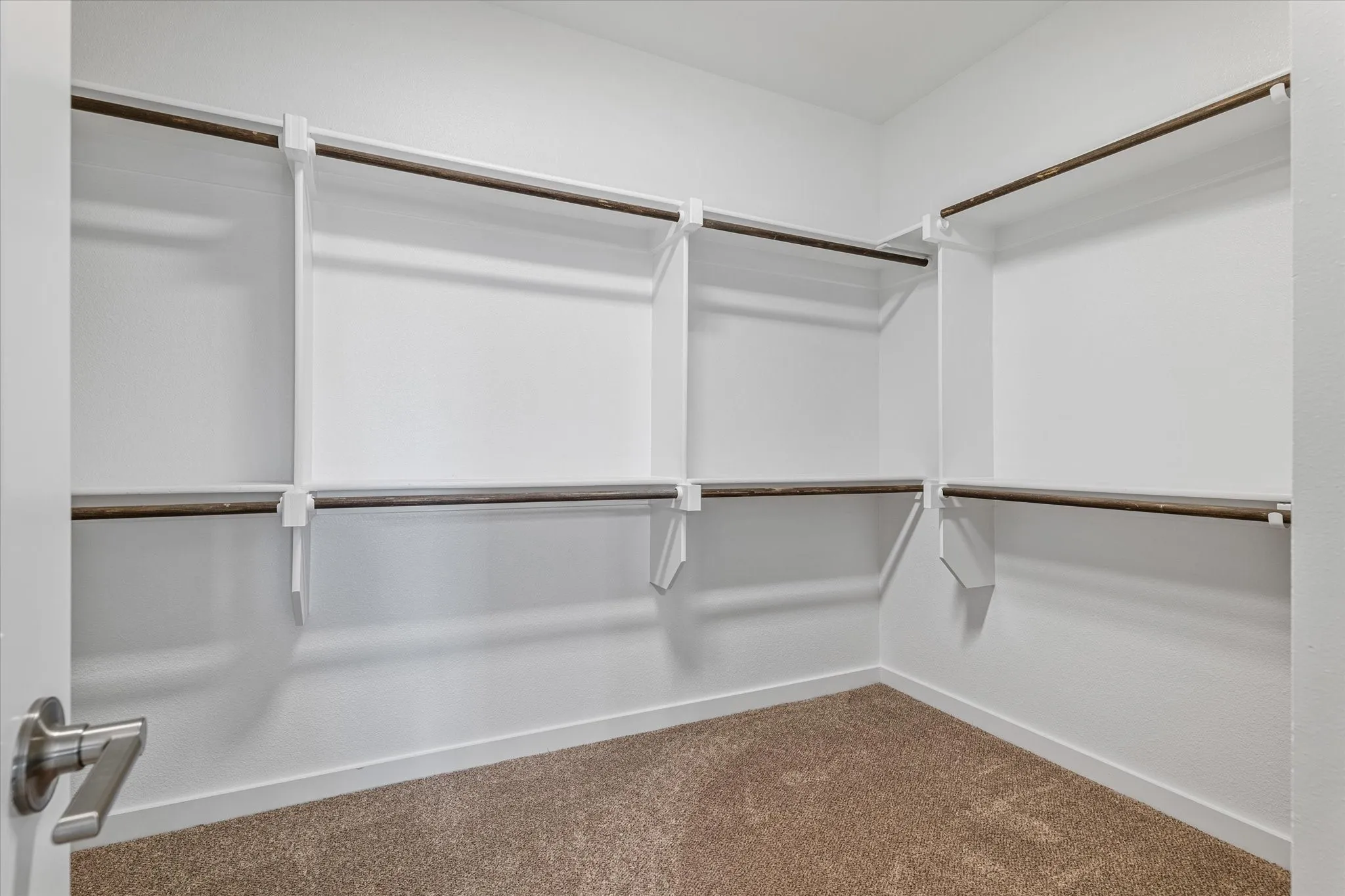 Walk-in closet featuring built-in shelving, hanging rods, and carpet flooring