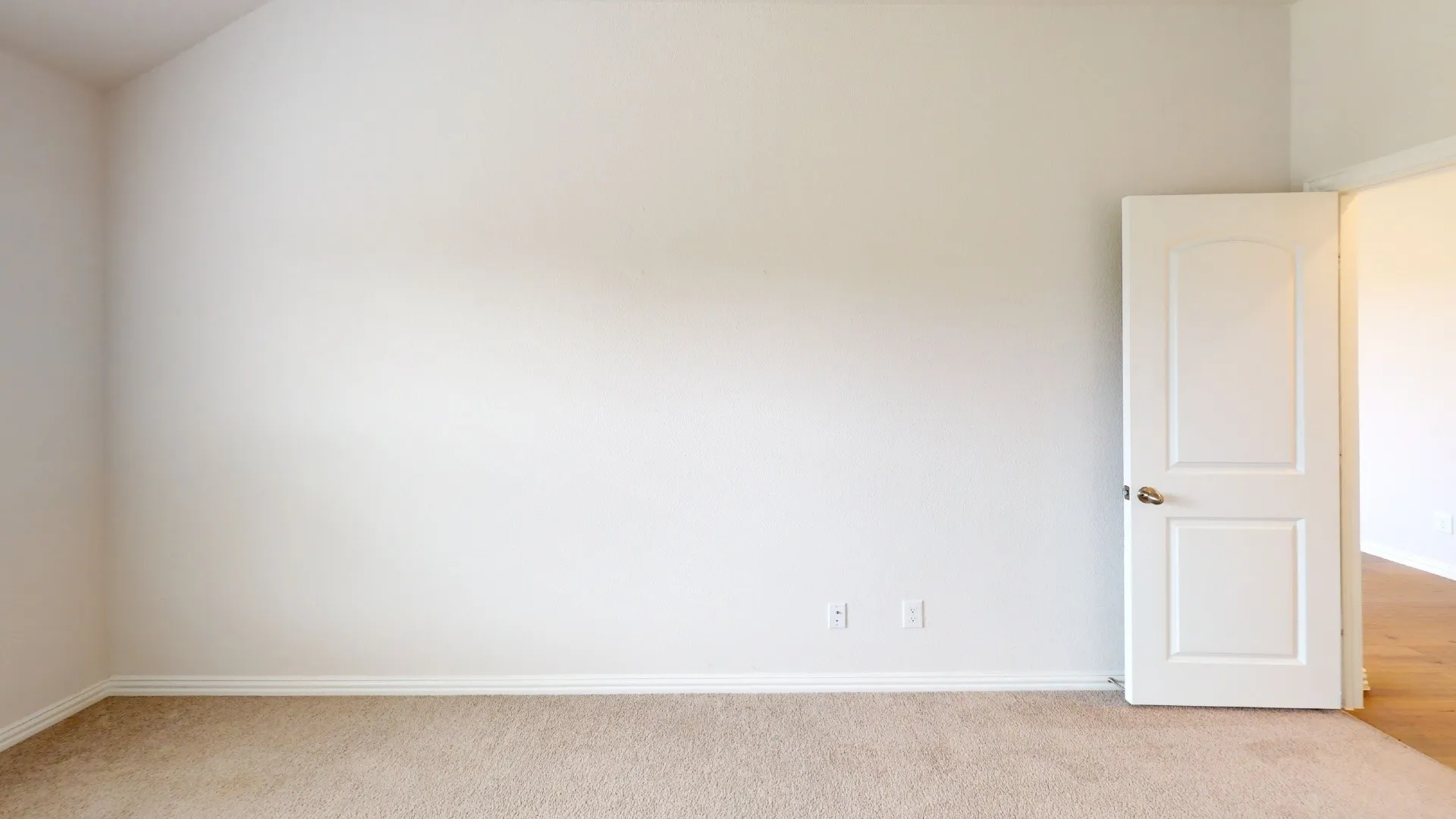 Textured wall finish, plush carpet flooring, white trim, and a white interior door